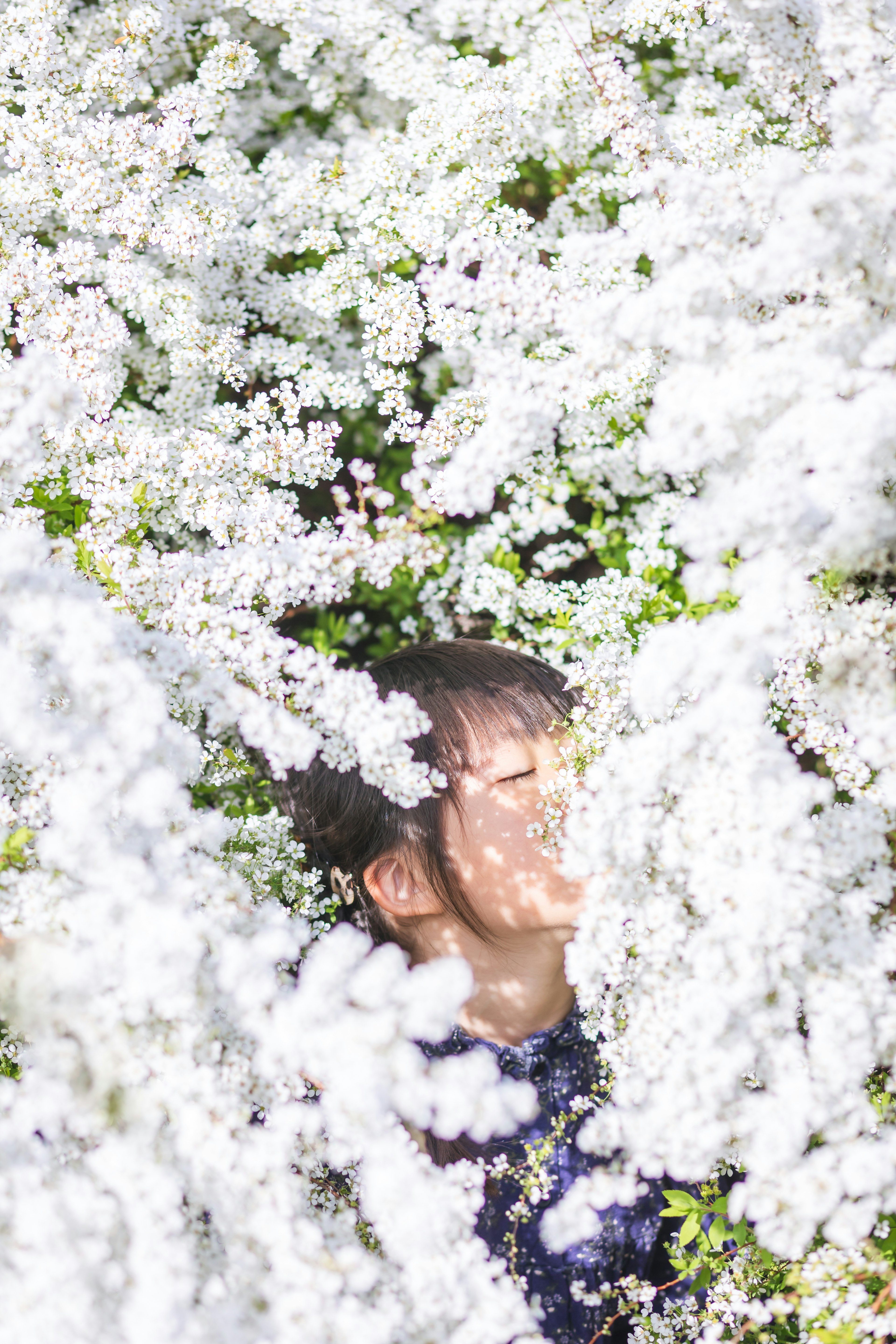 Gesicht eines Kindes teilweise verborgen zwischen weißen Blumen