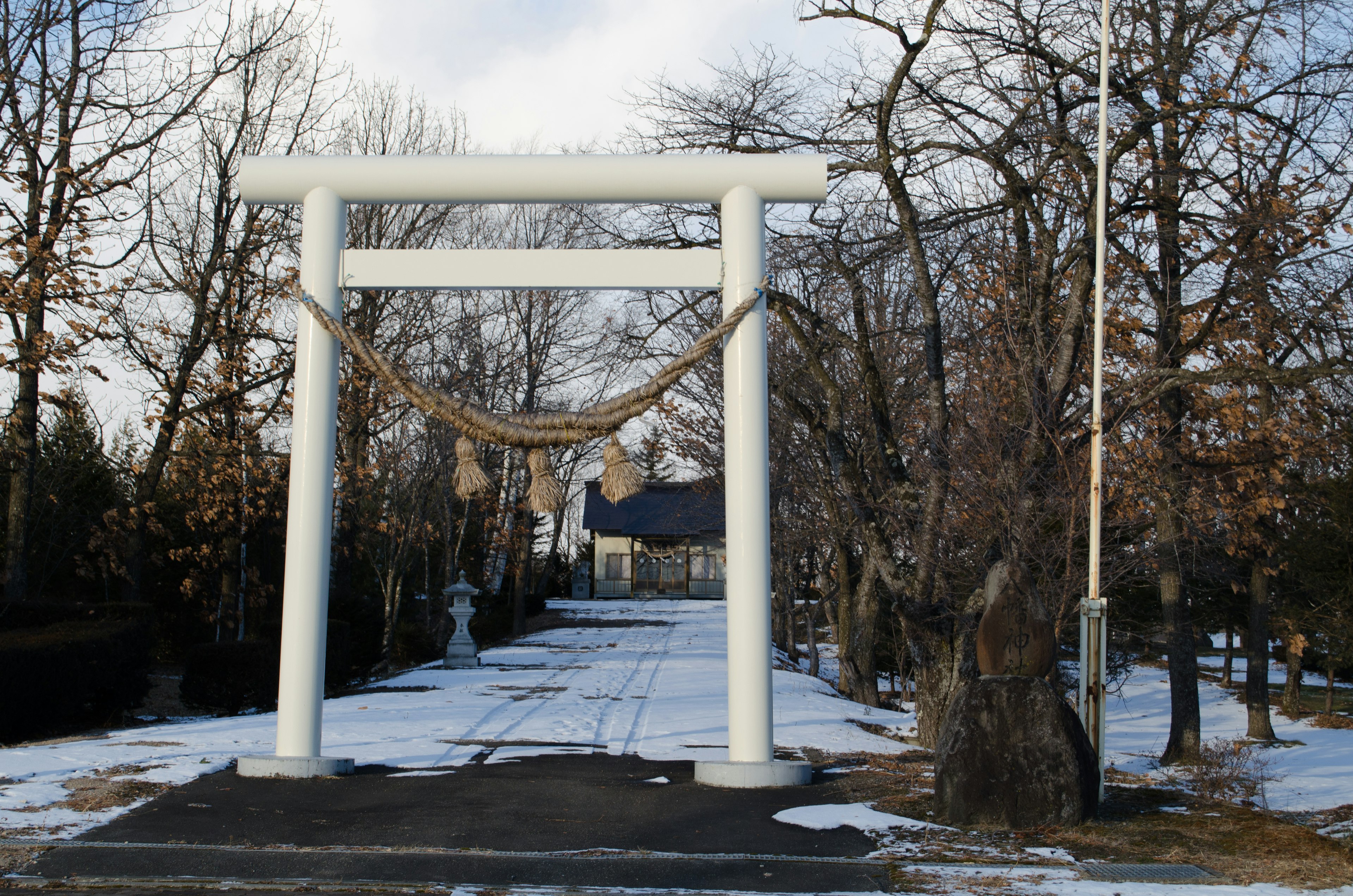 Cổng torii trắng đứng trên con đường đầy tuyết