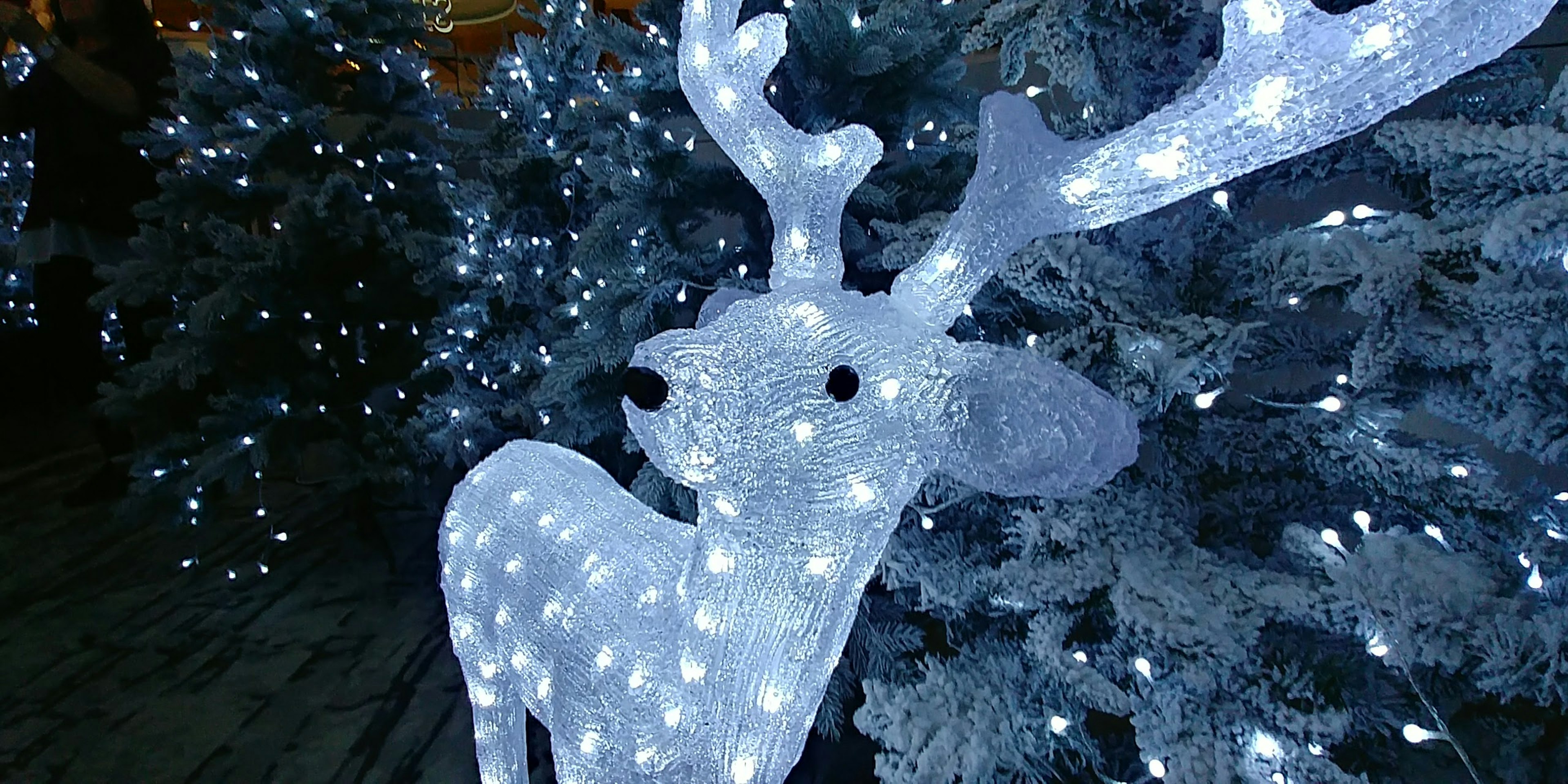 Illuminated white reindeer statue surrounded by blue evergreen trees