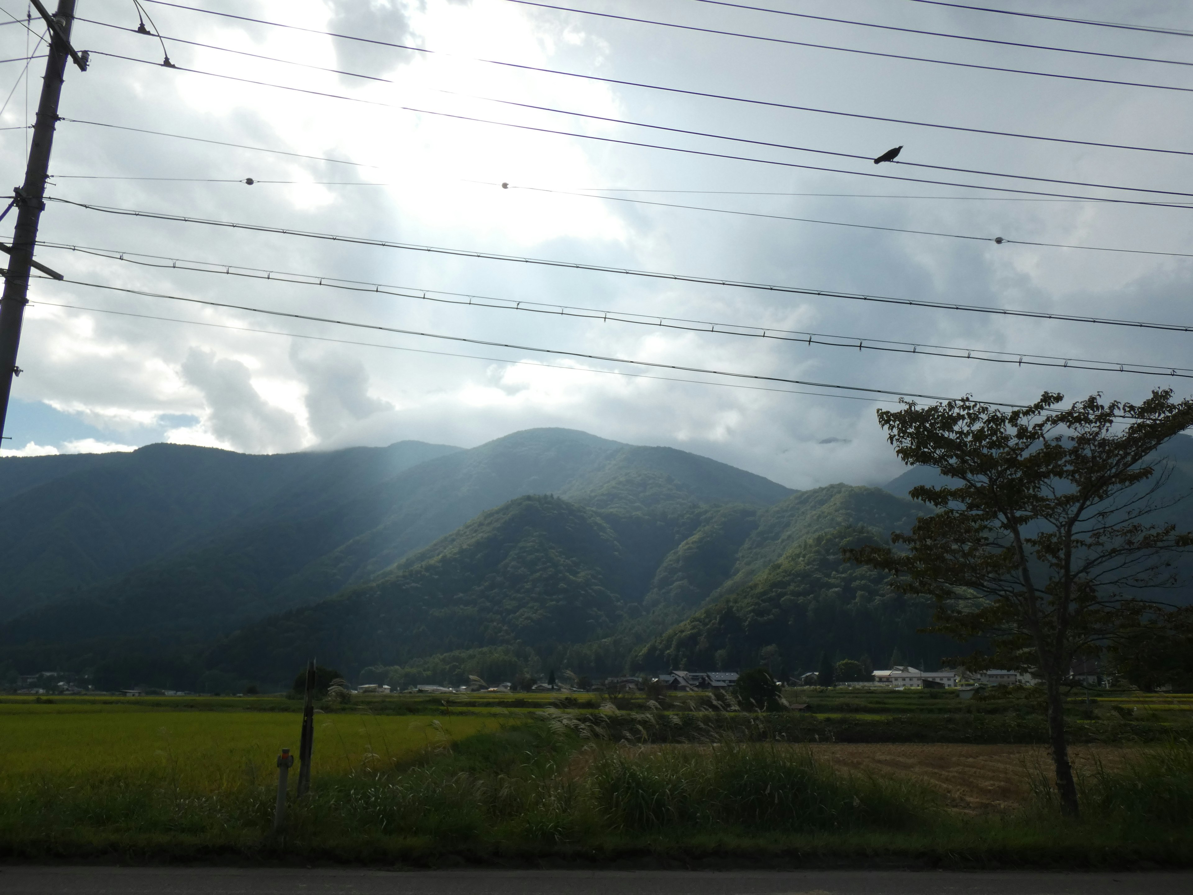 Paysage avec des montagnes et des rizières avec des lignes électriques