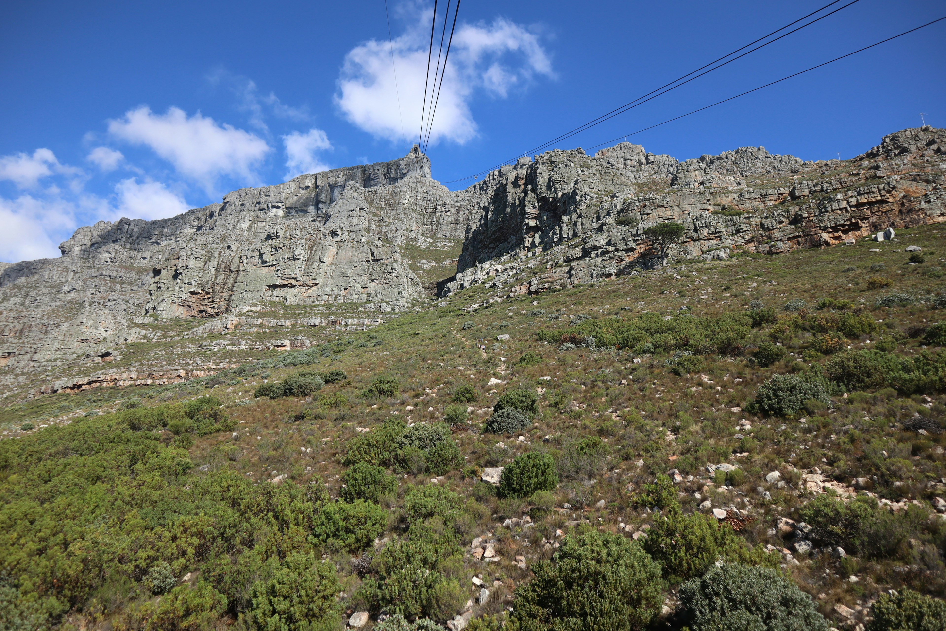 Landschaft des Tafelbergs mit grünen Hängen und blauem Himmel