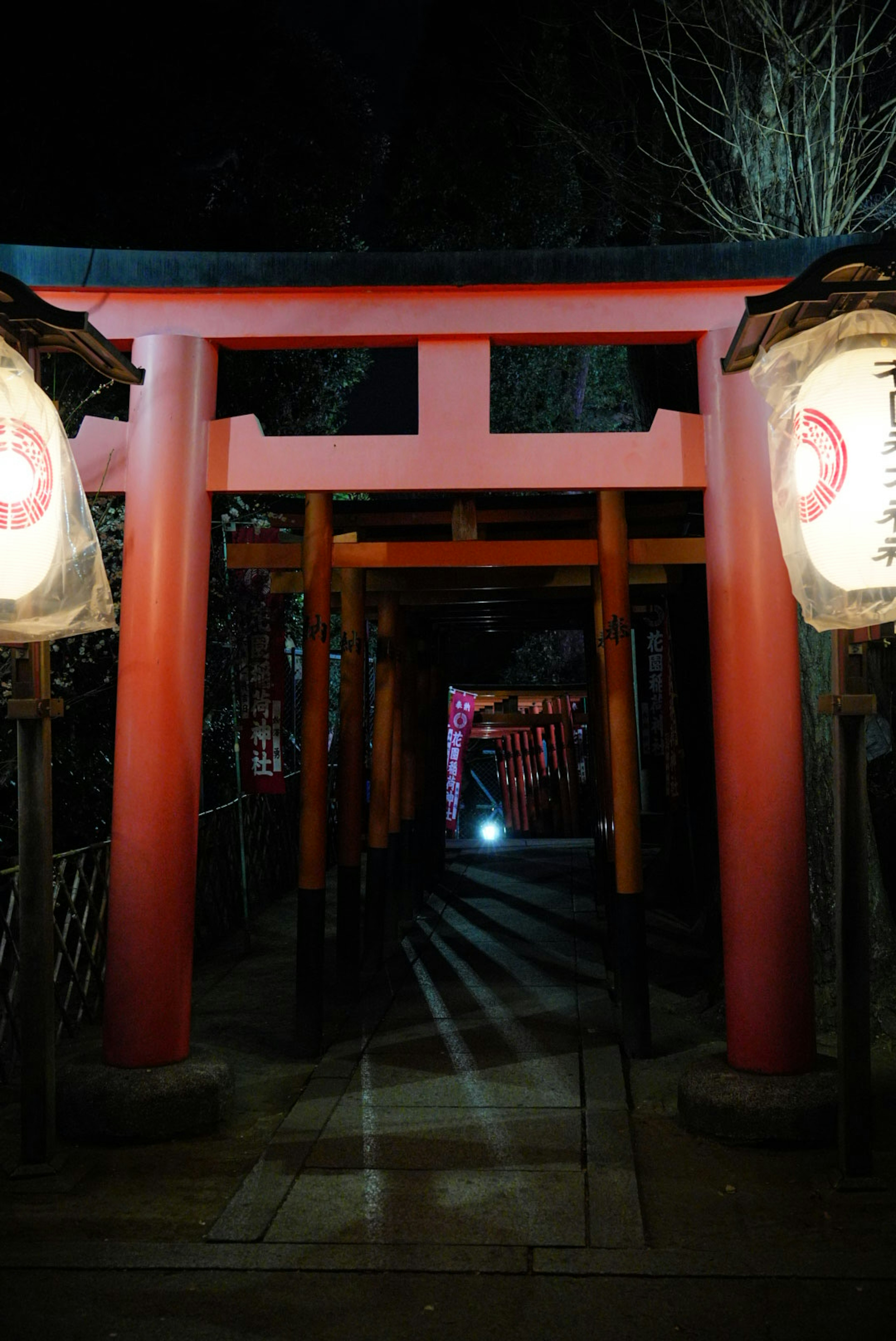 夜の中にある赤い鳥居と提灯の道