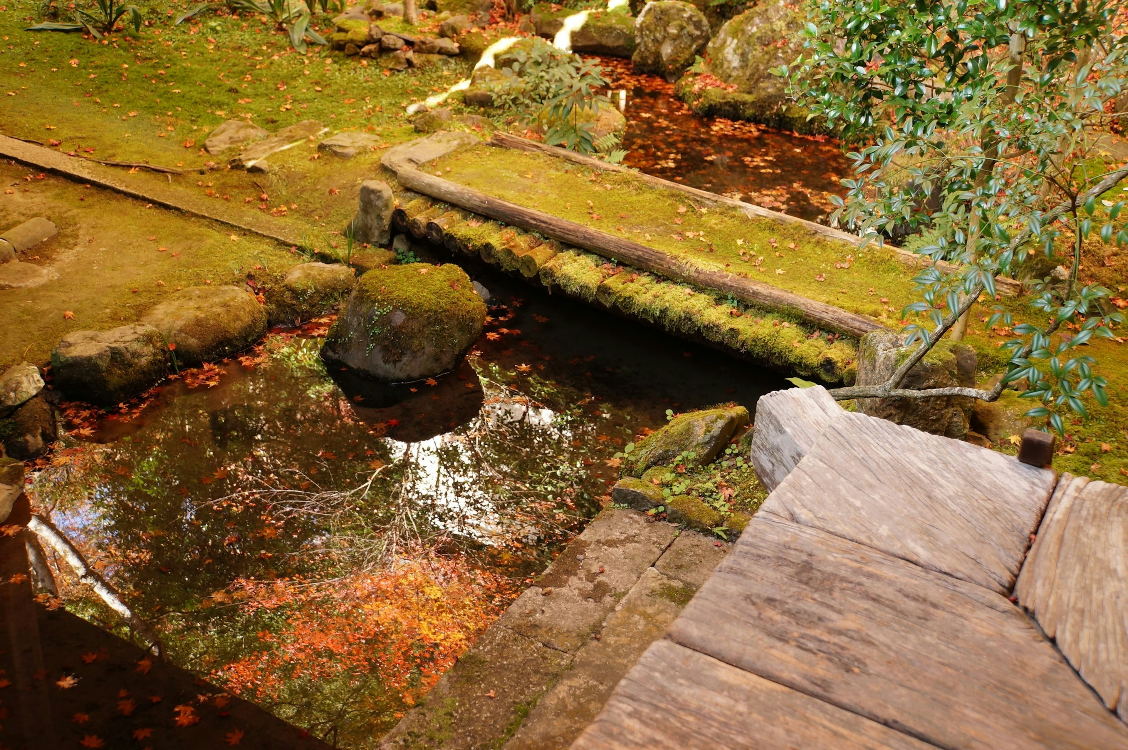 苔むした橋と静かな池の景観 落ち葉が浮かんでいる