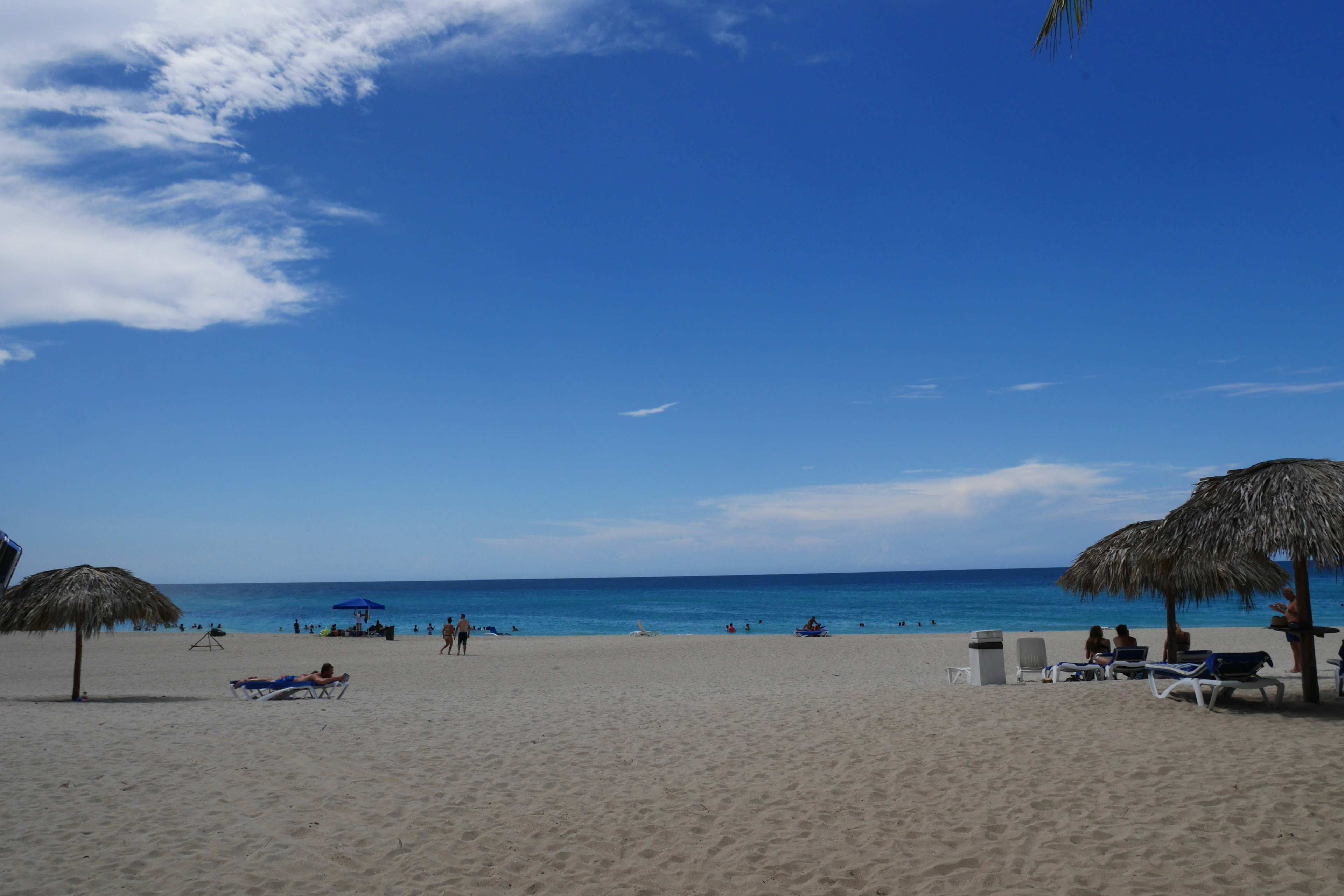 Beach scene with blue sky and ocean that features umbrellas and sun loungers on sandy shore