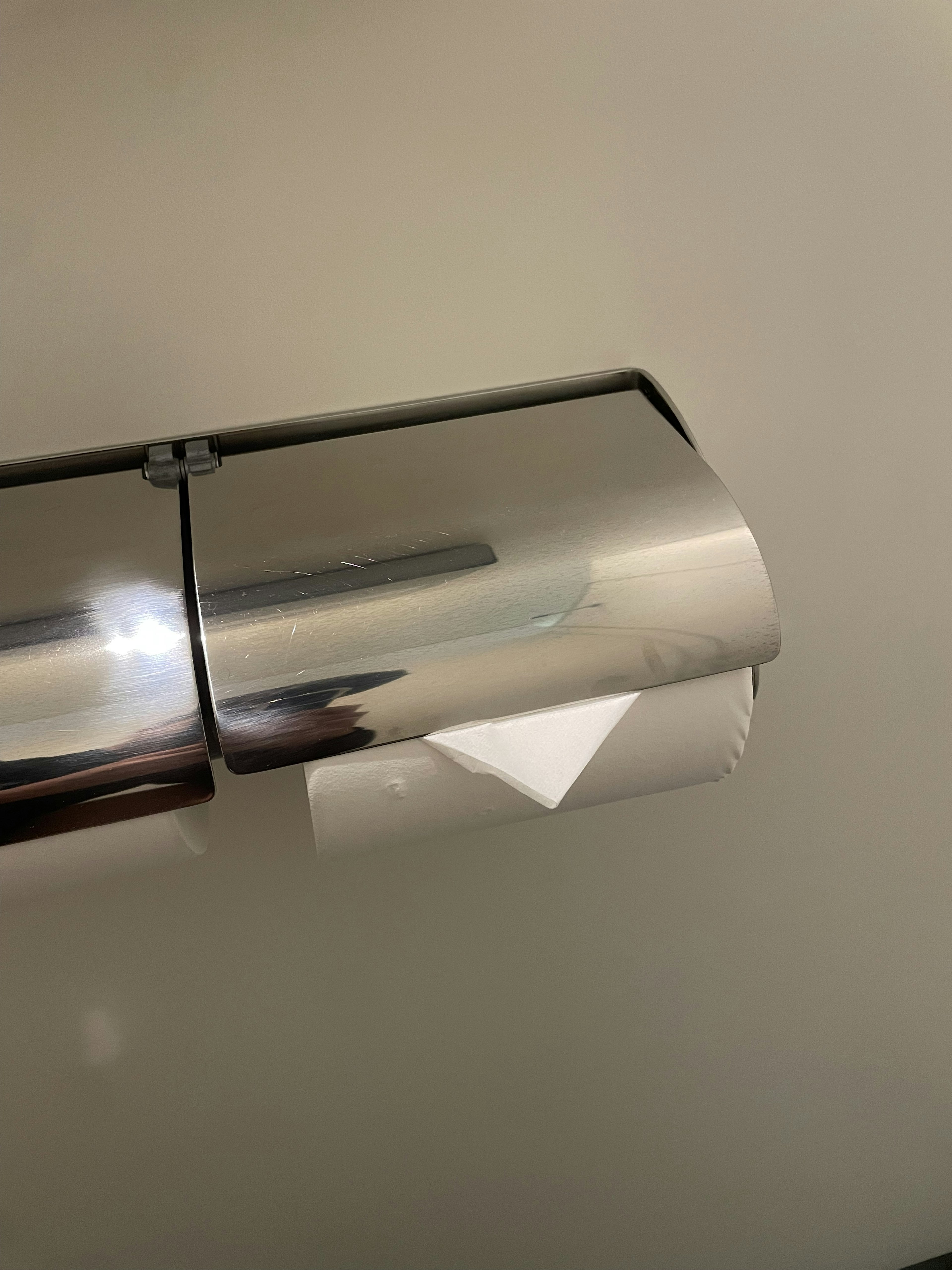 Metal toilet paper holder with a visible portion of toilet paper