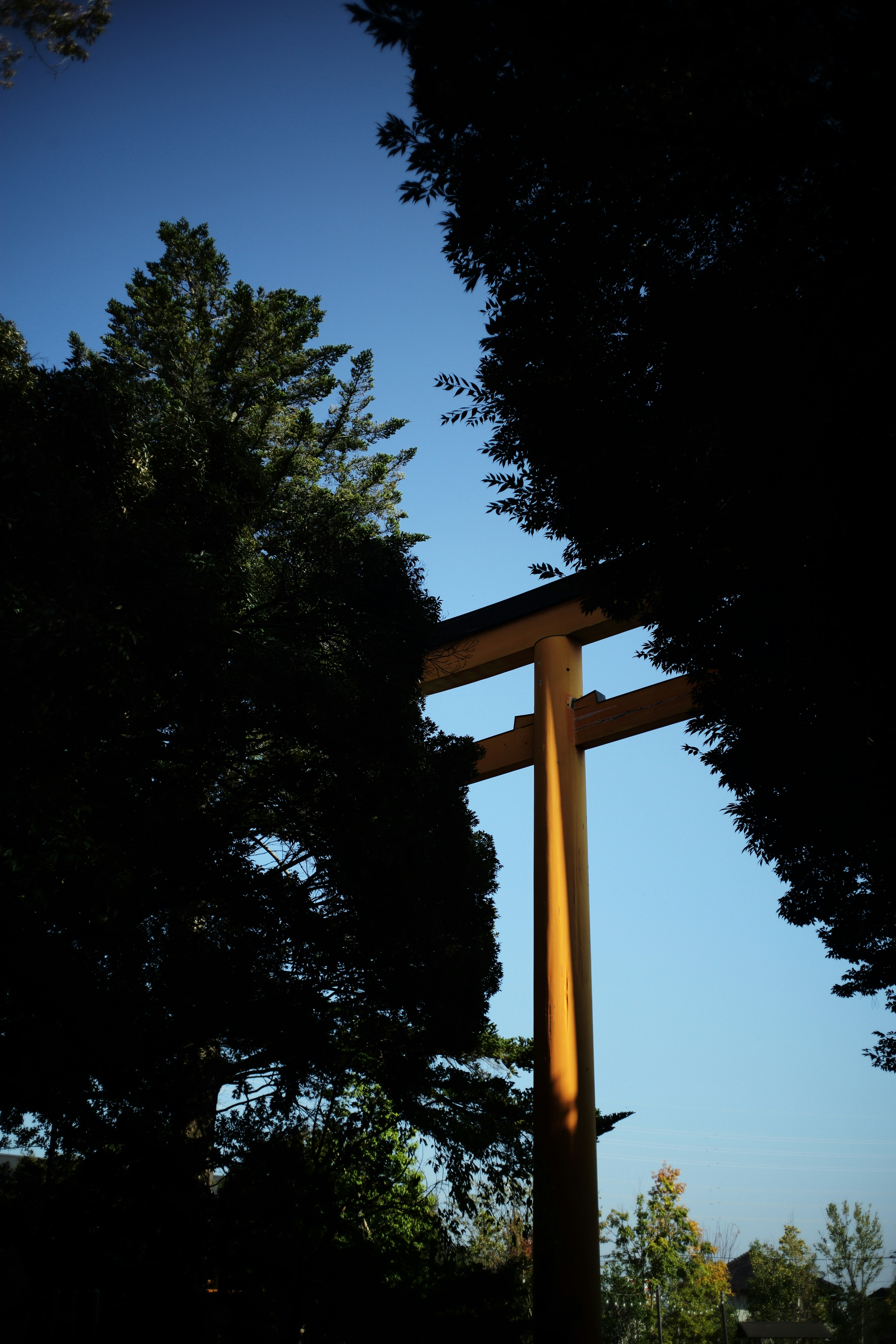 Gerbang torii kuning dikelilingi pepohonan hijau di bawah langit biru