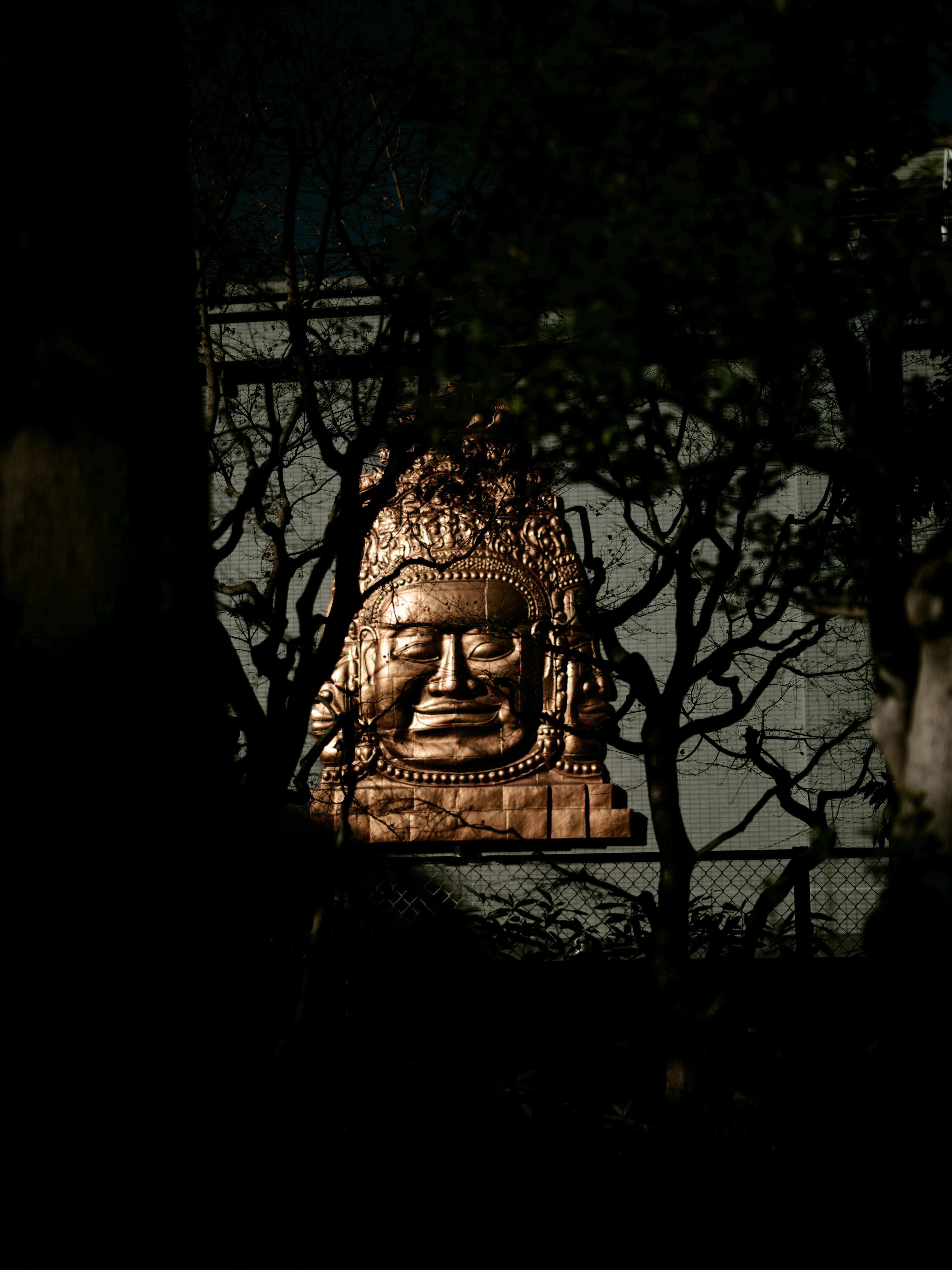 A Buddha face illuminated against a dark background