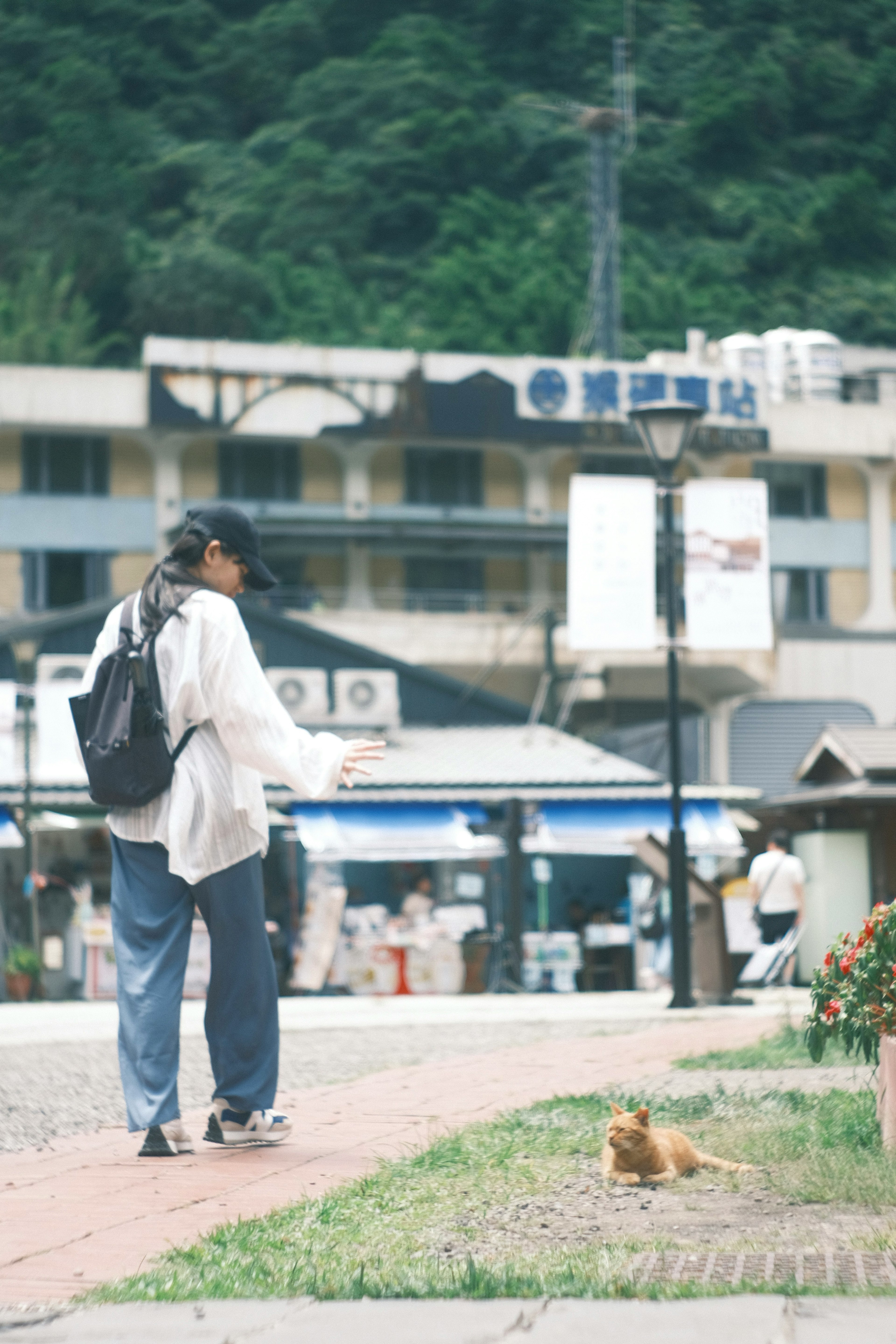 Una donna che passeggia con un cane in un'area panoramica con edifici sullo sfondo