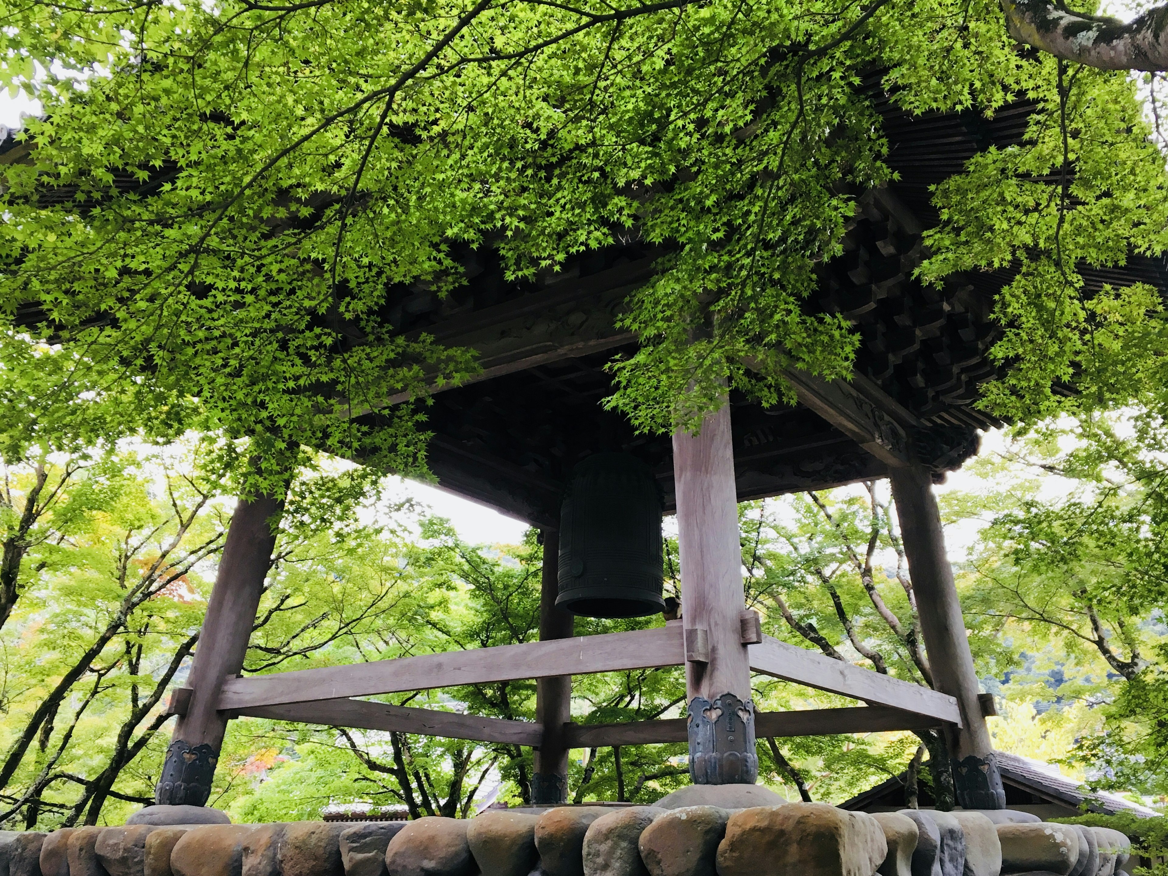 View of a bell tower shaded by lush green leaves