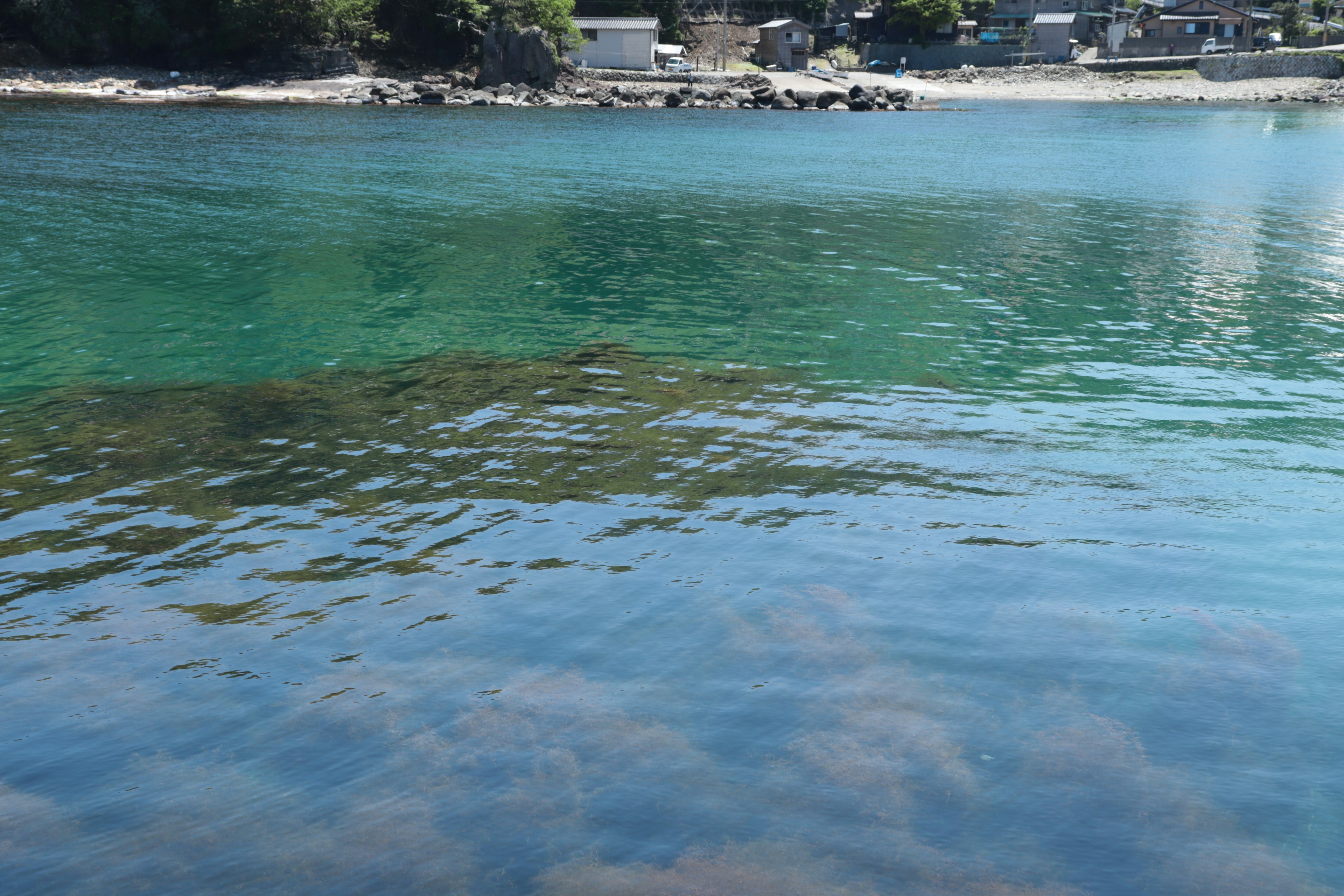 Pemandangan pesisir dengan air jernih yang memperlihatkan rumput laut bawah laut