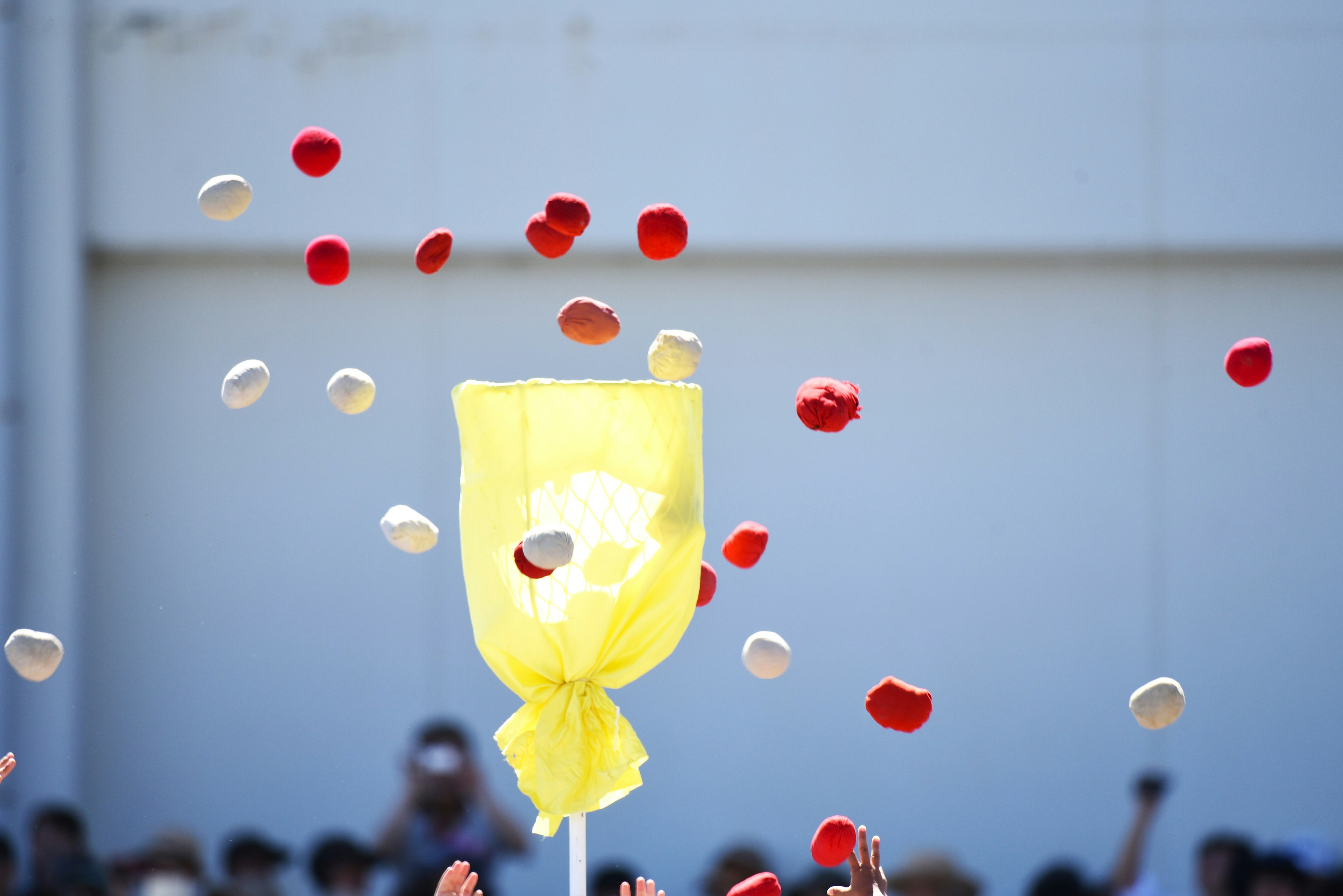 Drapeau jaune avec des pétales rouges et blancs lancés dans les airs