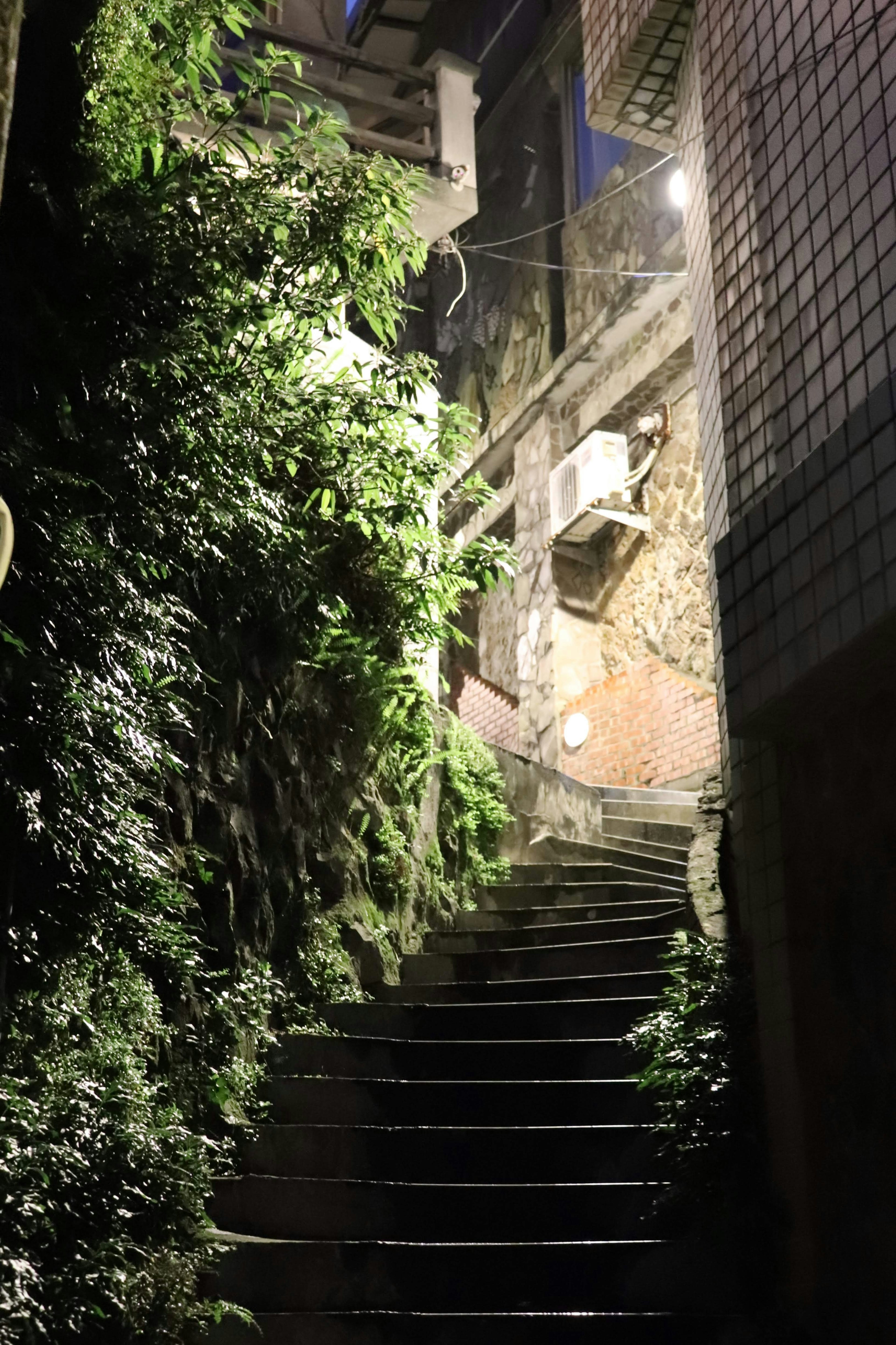 夜の階段と緑の植物が囲む石造りの建物の風景