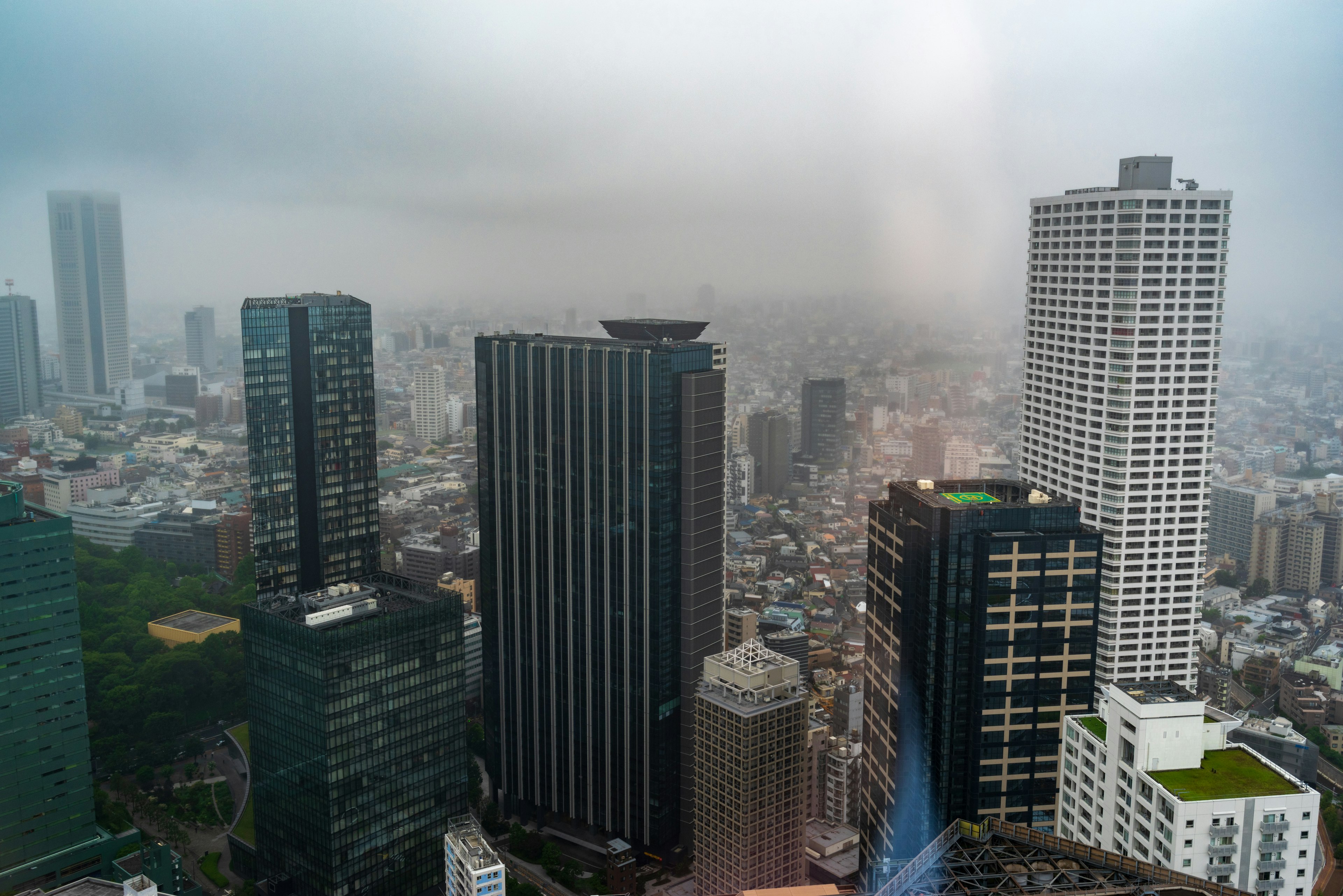 Cityscape shrouded in fog featuring tall buildings