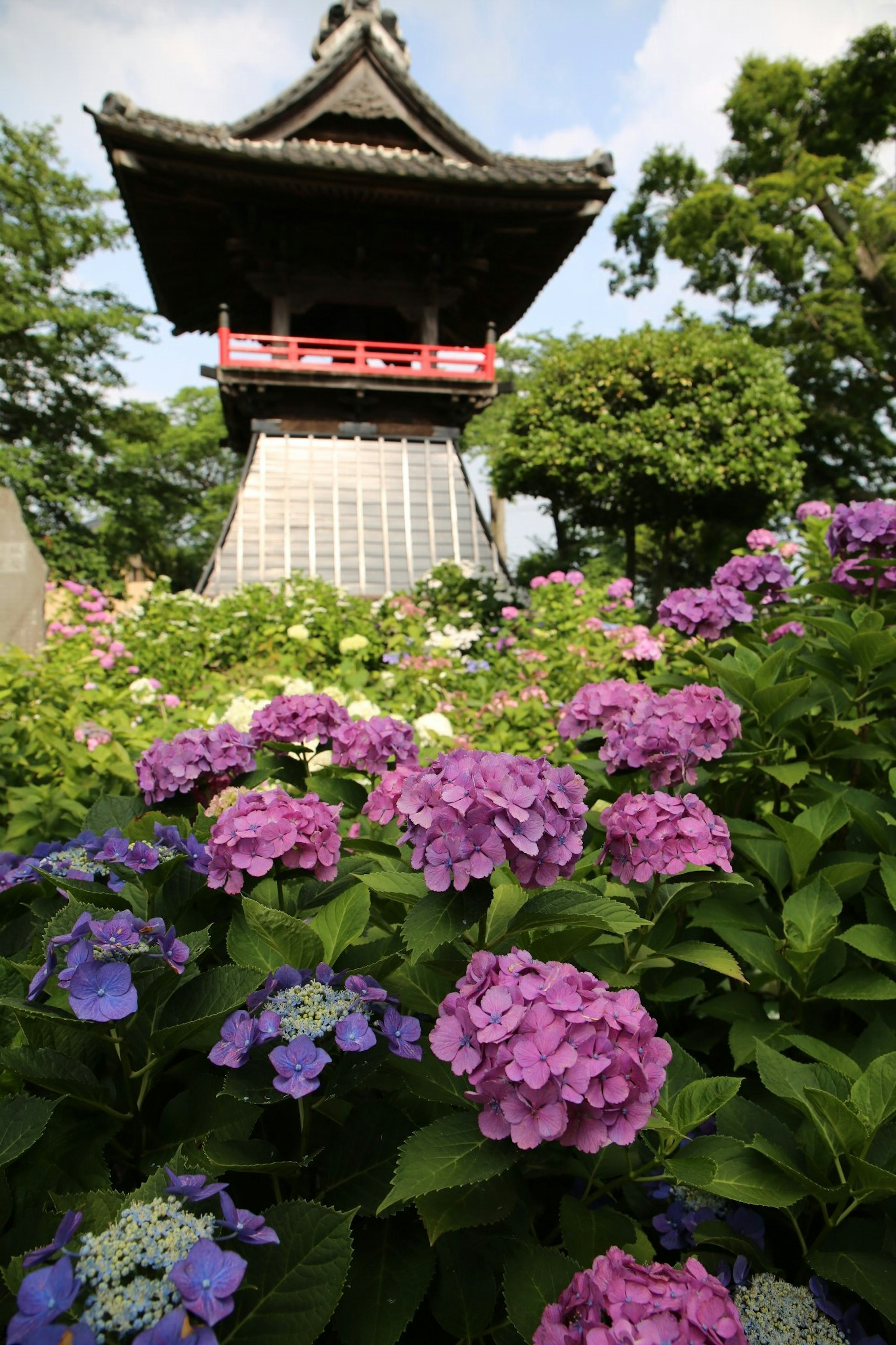 Beautiful tower surrounded by blooming purple and blue hydrangeas