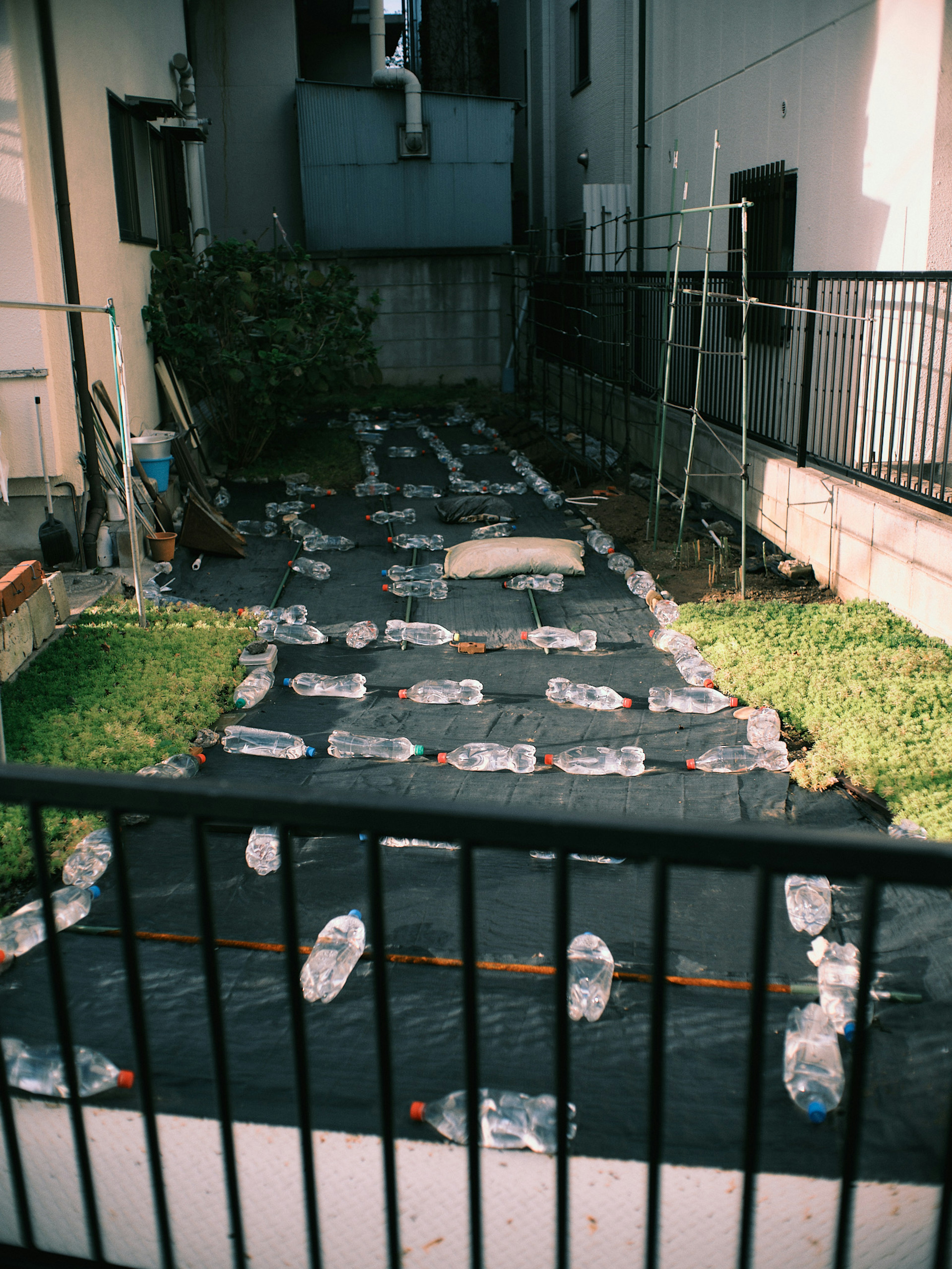 黒いシートの上に並べられたペットボトルがある庭の景色