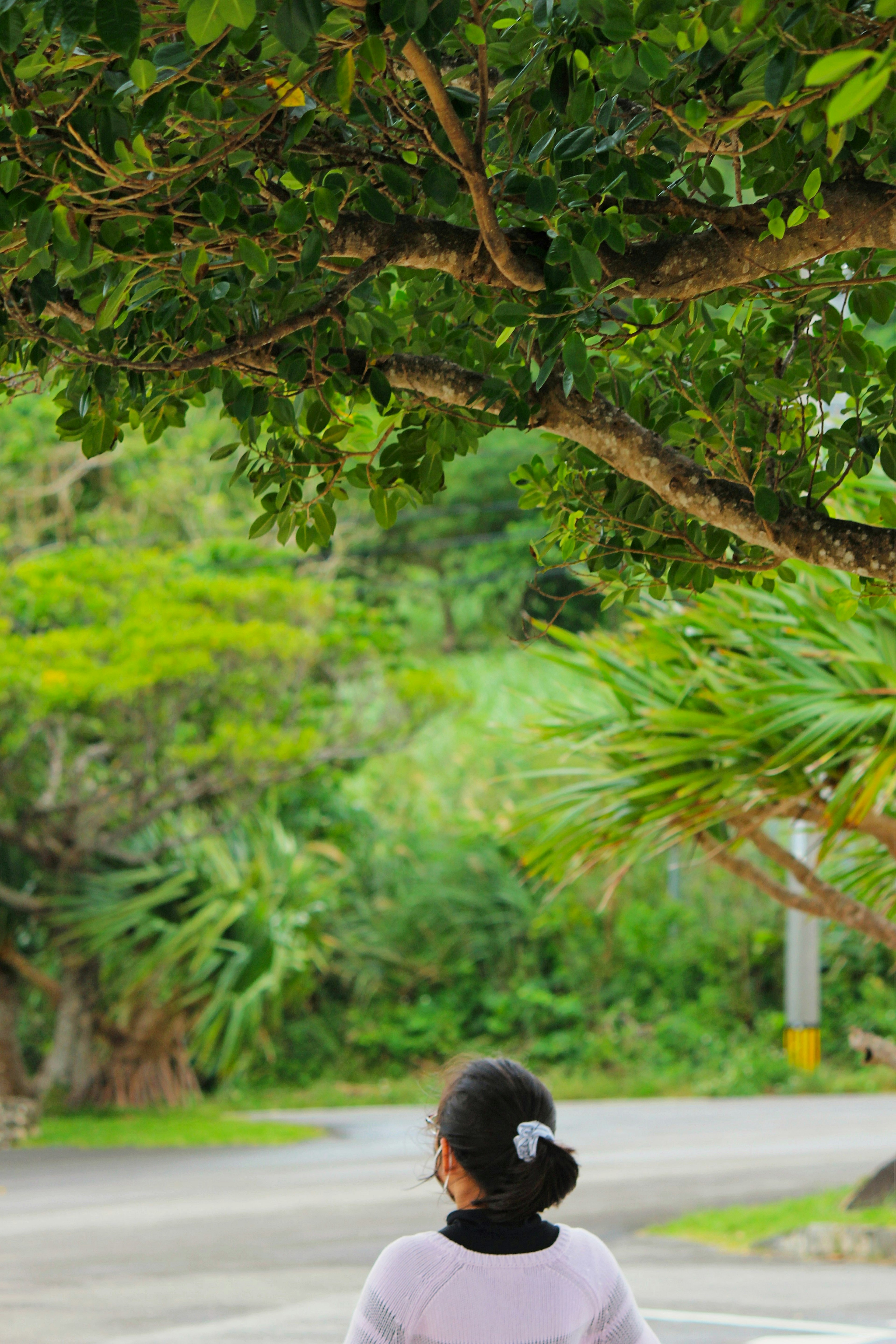 Mujer vista de espaldas en un paisaje verde