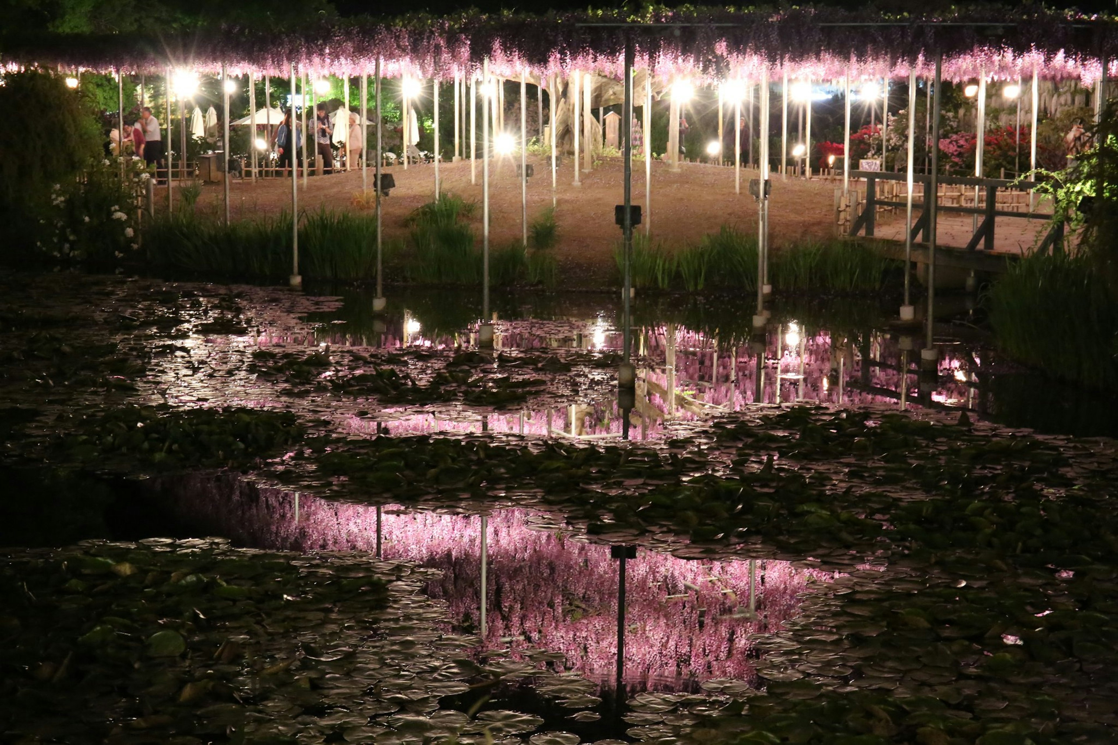 Hermosa escena nocturna con luces rosas reflejándose en la superficie del agua de un estanque