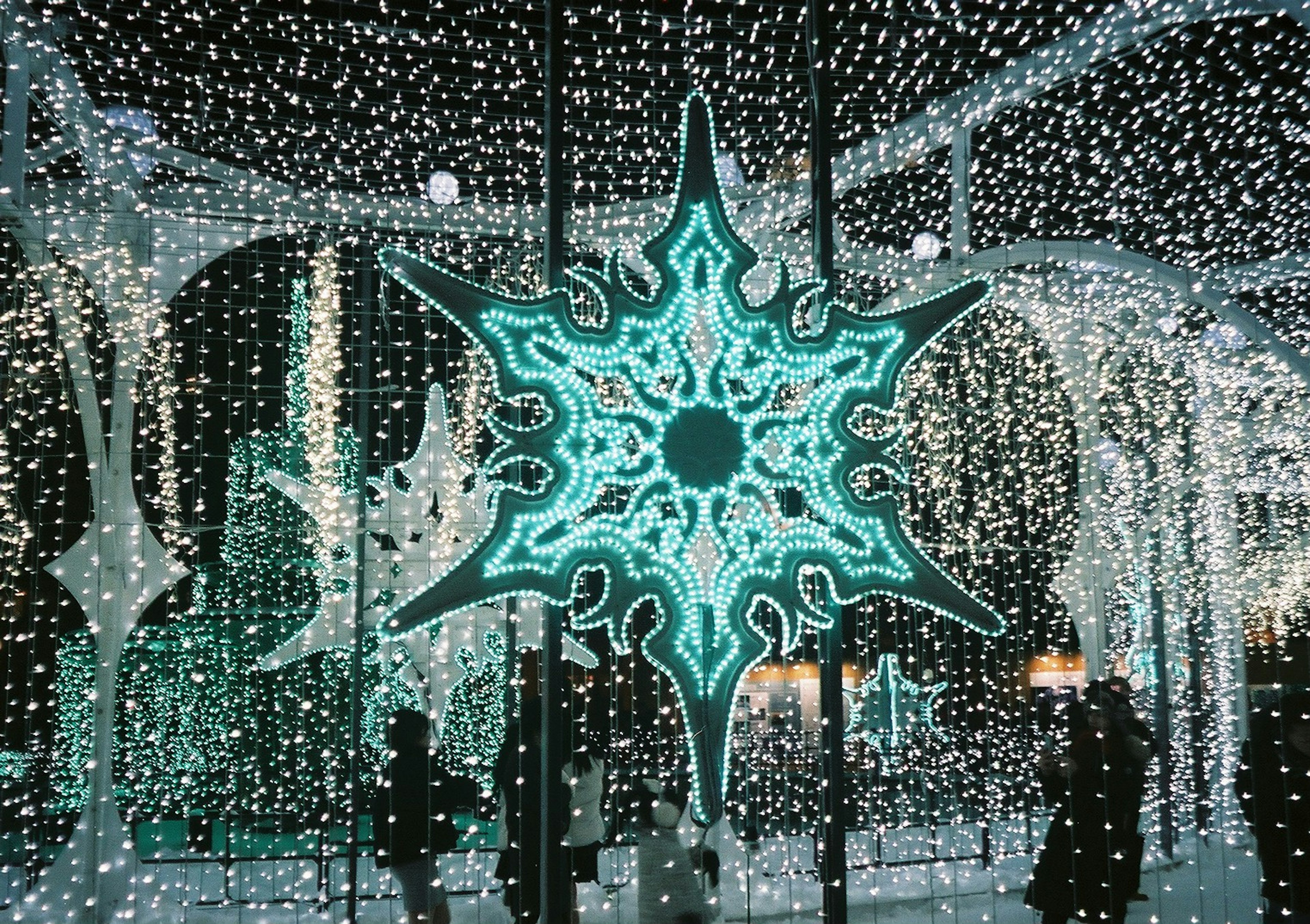 Winter scene featuring a blue snowflake decoration surrounded by lights