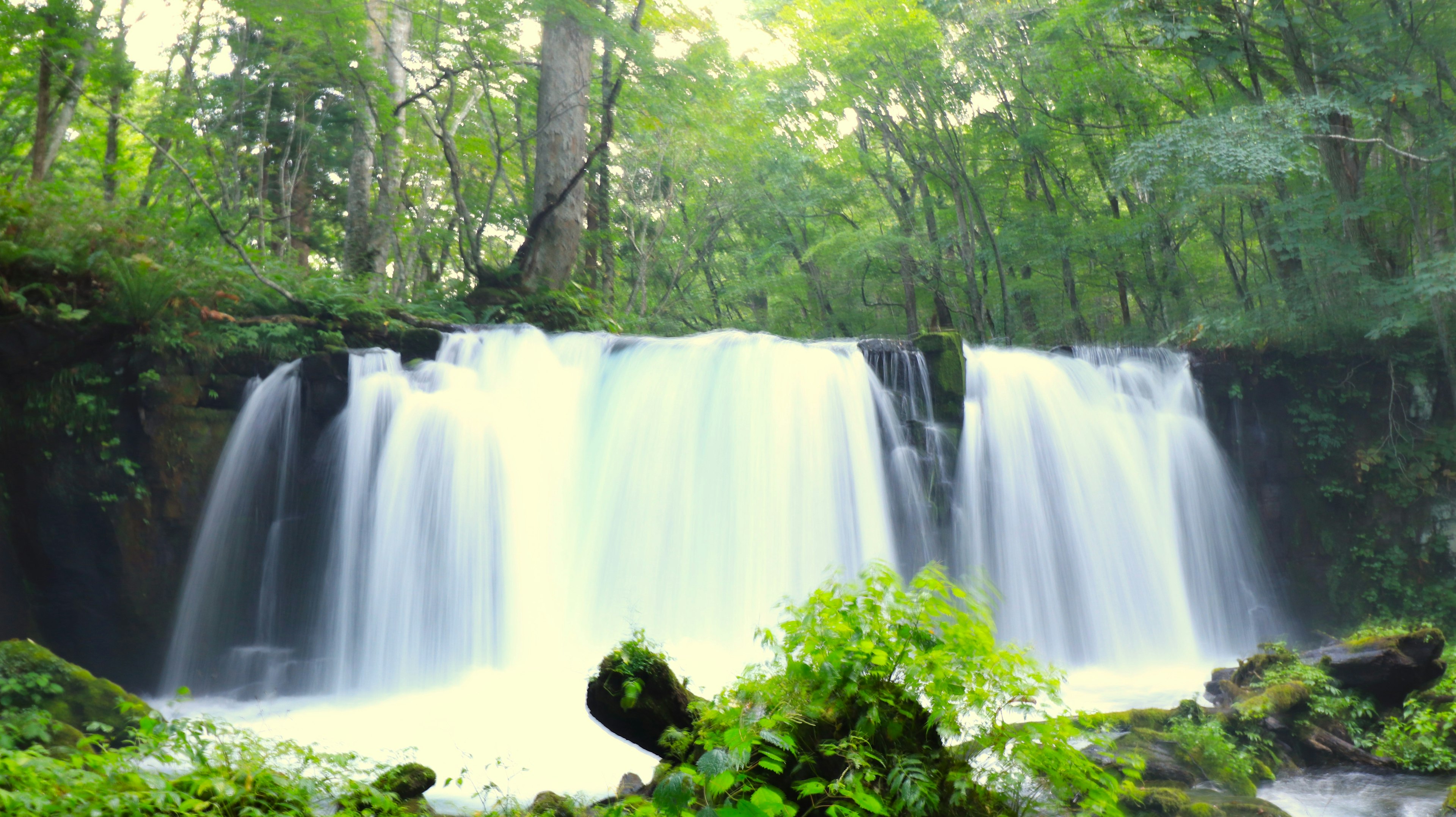 ฉากน้ำตกที่สวยงามในป่าที่เขียวชอุ่ม