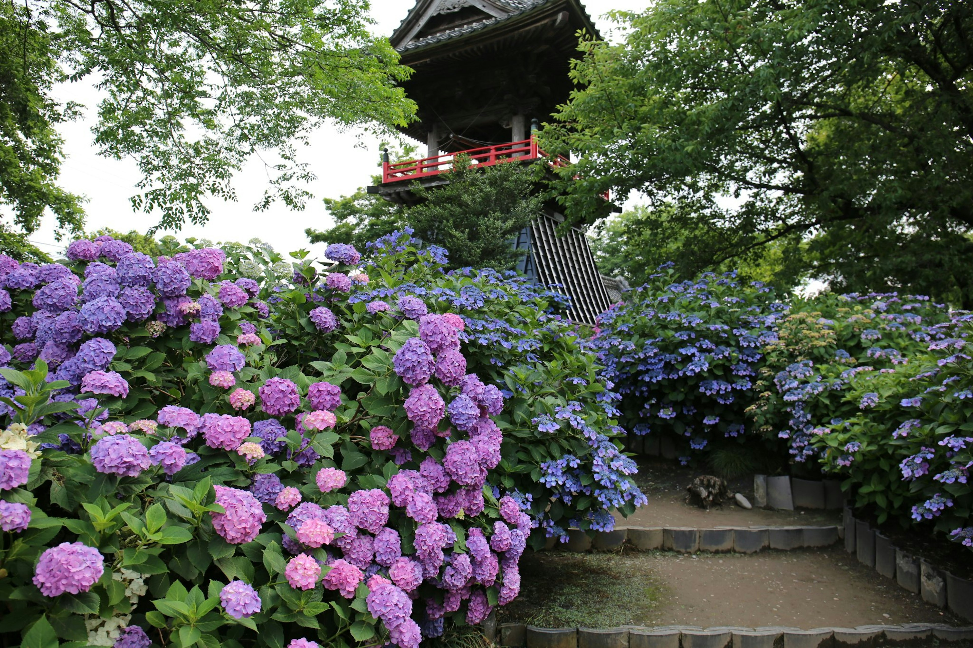 Scenic view of a traditional structure surrounded by hydrangeas and trees