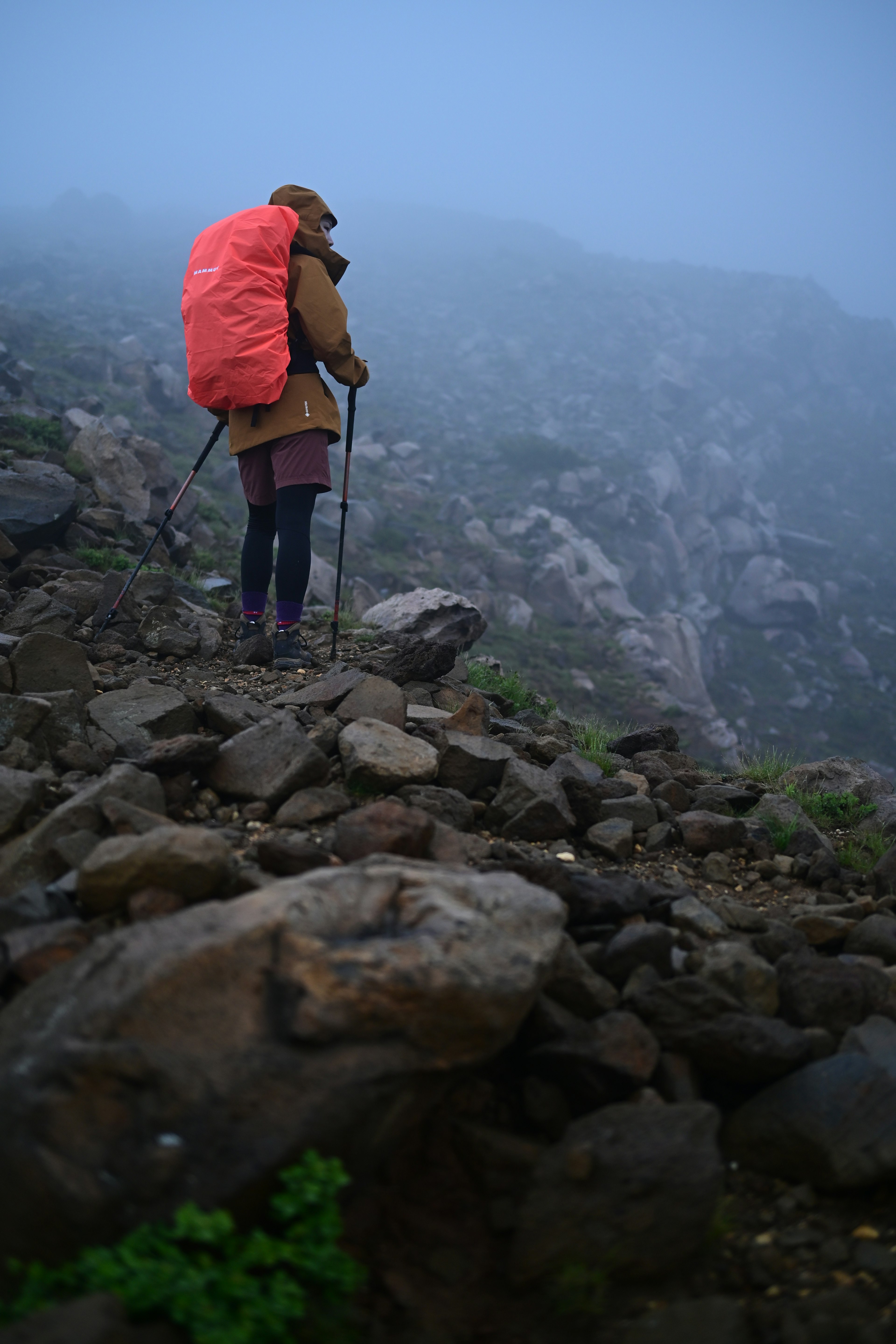 霧の中で登山する背中の人物 明るいオレンジのバックパックを持ち 岩だらけの小道を歩いている