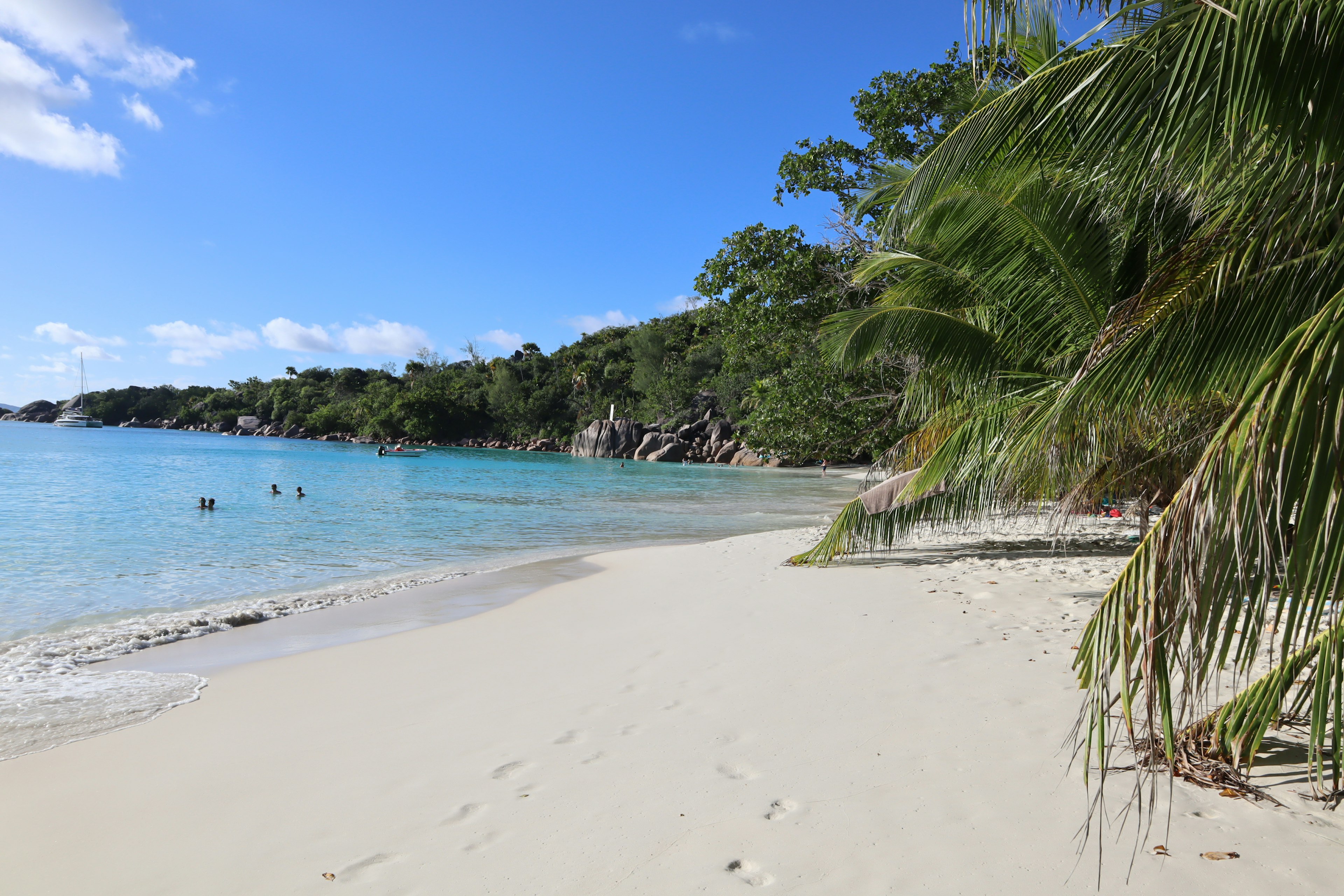 Scenic beach view with blue water and white sand palm trees in the foreground