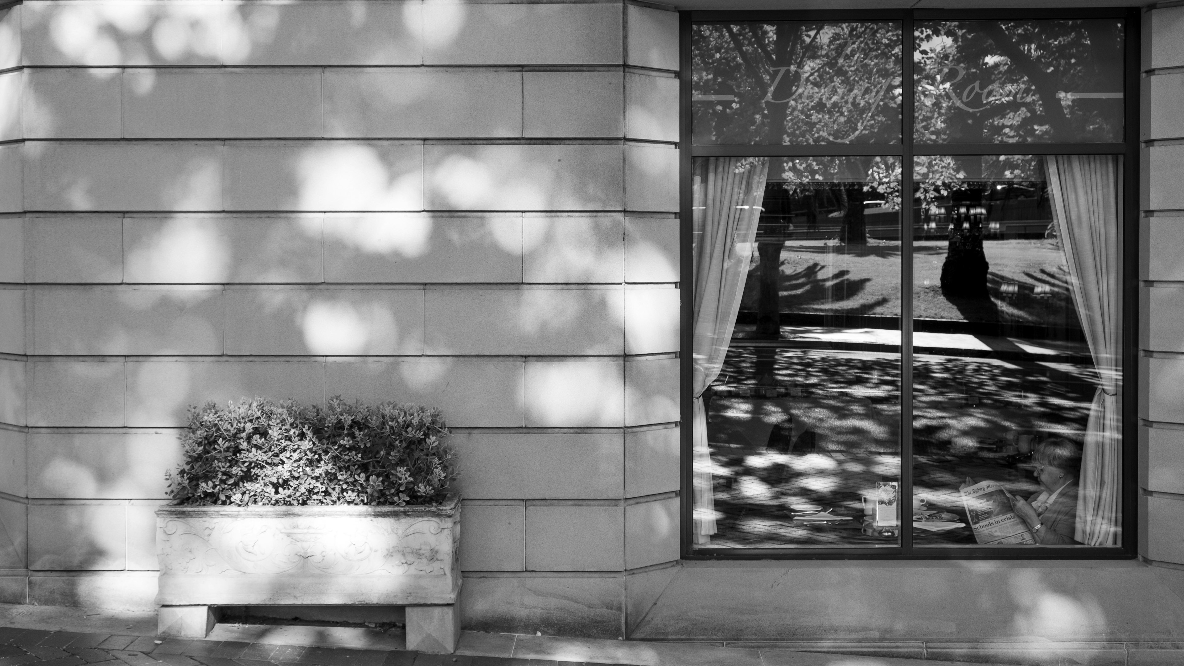 Exterior view of a building with a window reflecting shadows and greenery