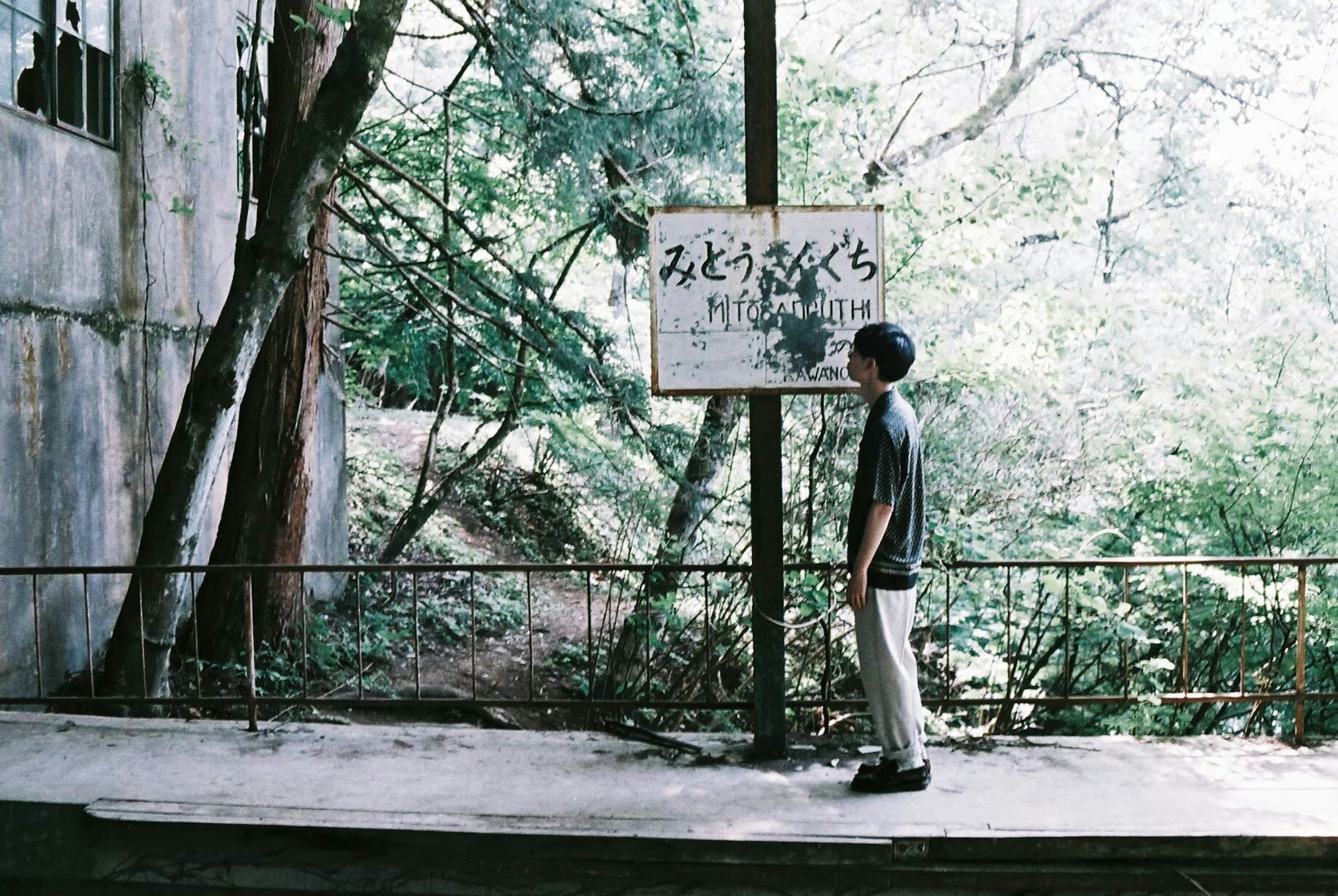 Person standing near an old sign surrounded by lush greenery