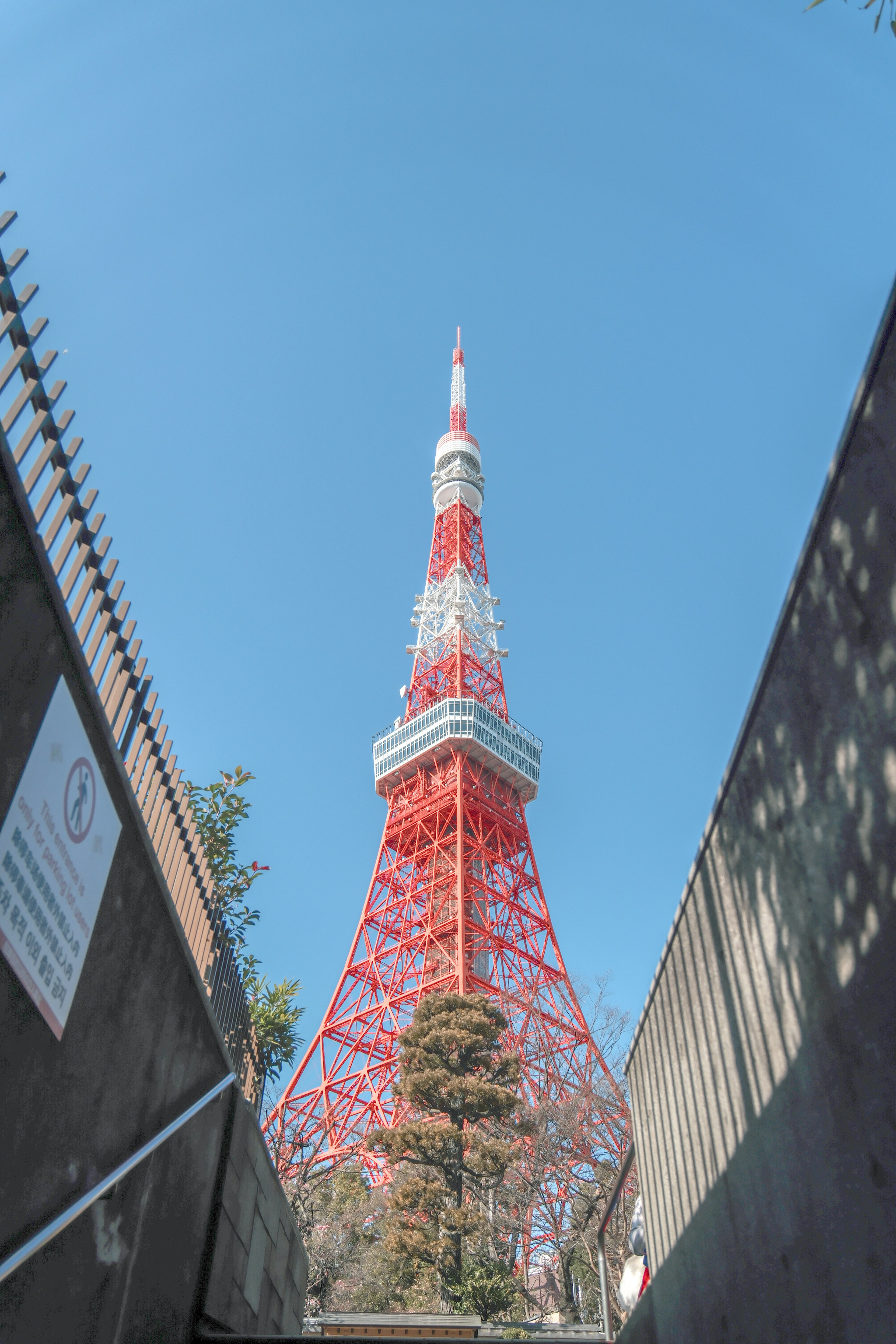 Foto Menara Tokyo dilihat dari bawah menunjukkan warna merah dan putih yang cerah