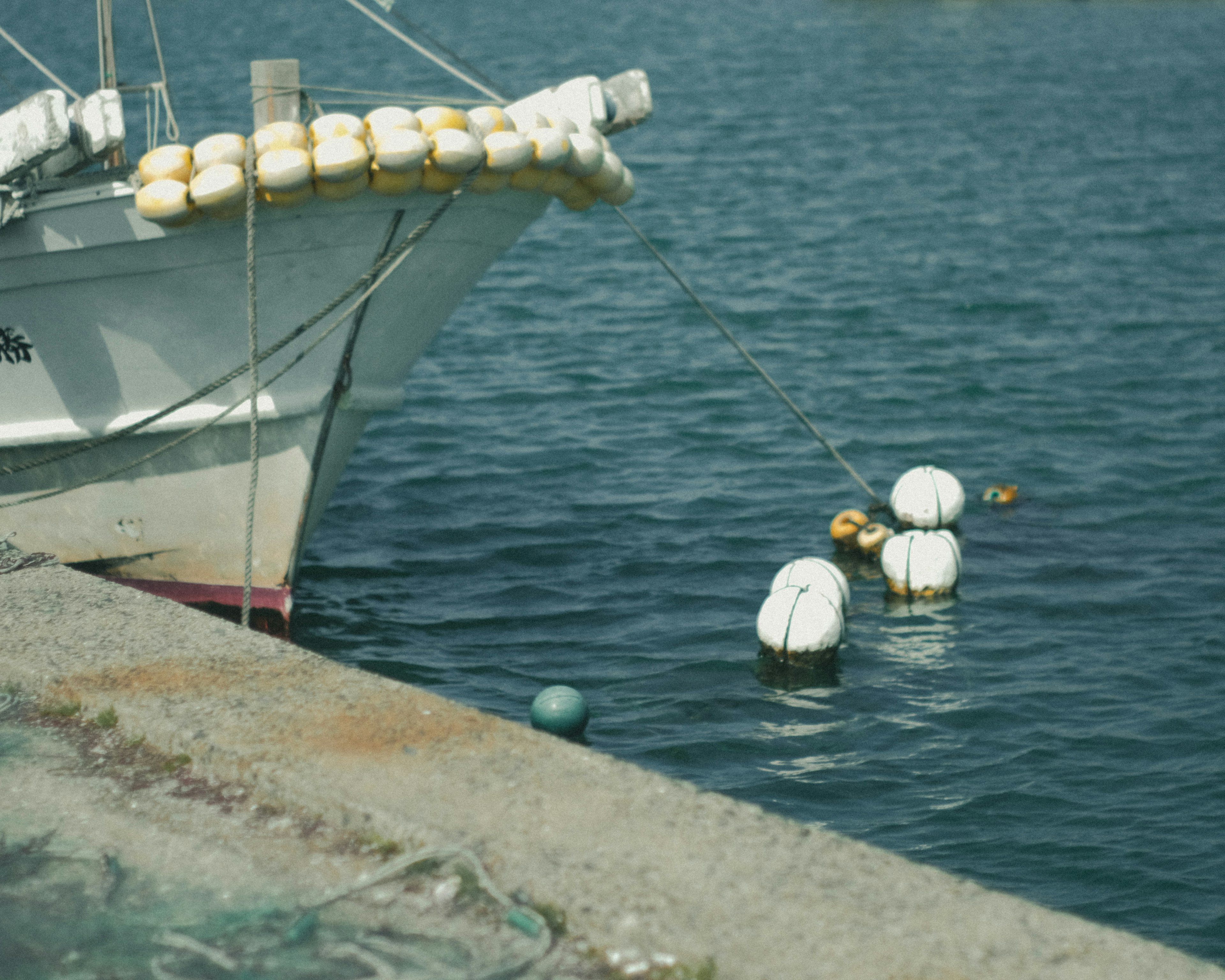 Bateau blanc amarré au port avec des bouées