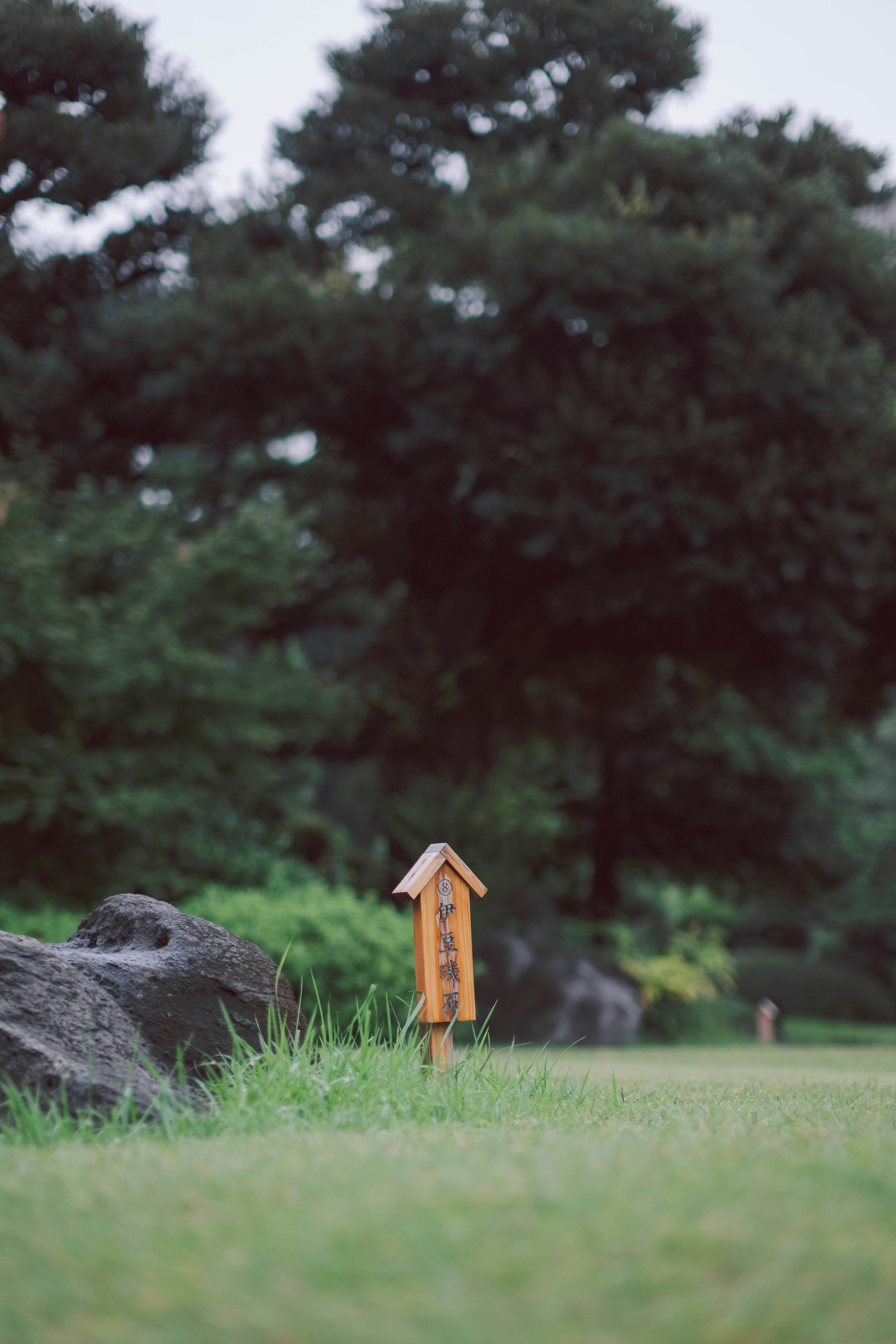 木の間に立つ木製の看板とその周囲の緑の風景