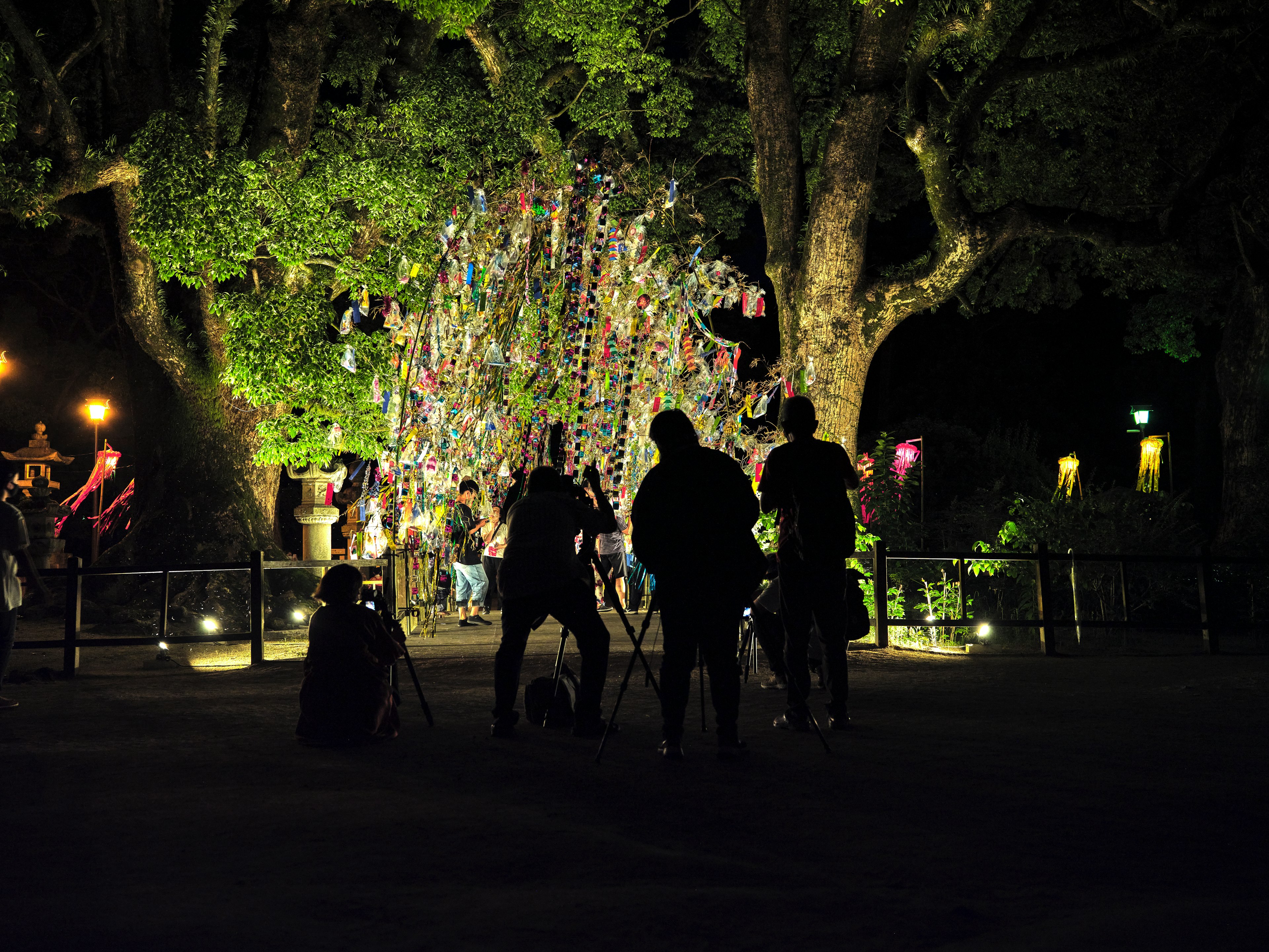 People gathered in a park at night in front of a colorful decorated tree