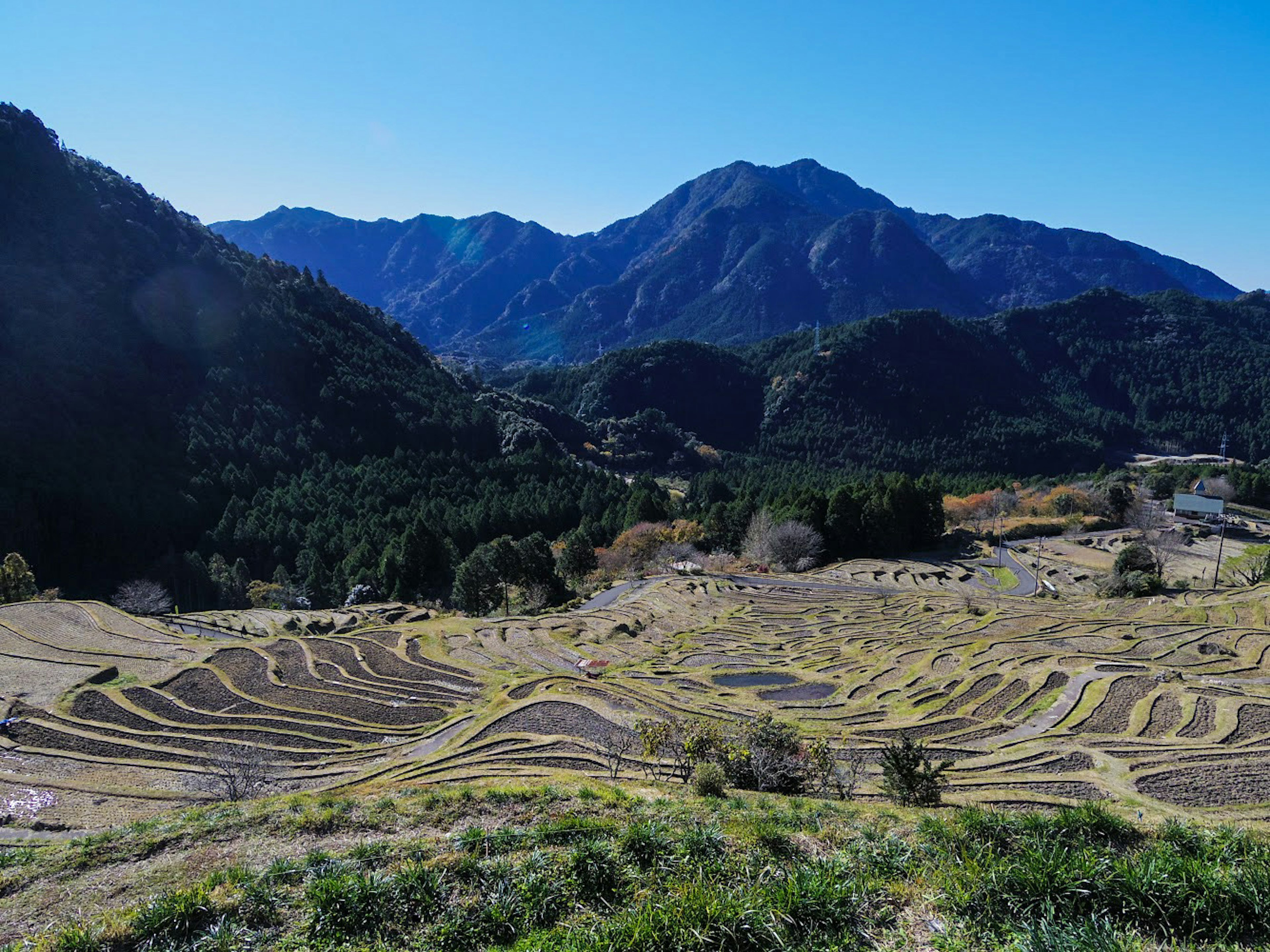 Vista escénica de campos de arroz en terrazas con montañas al fondo