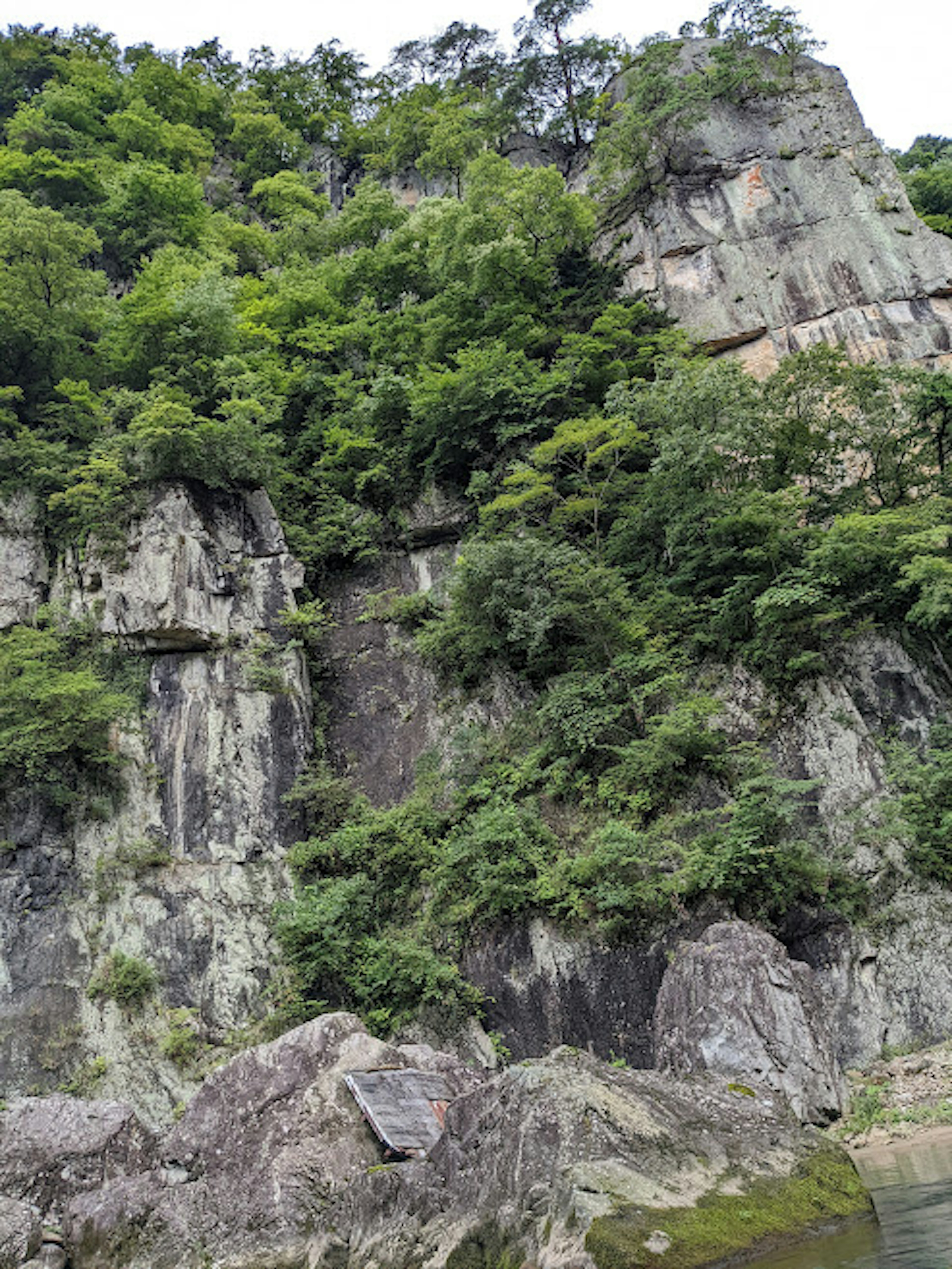 緑豊かな木々に覆われた岩山の風景