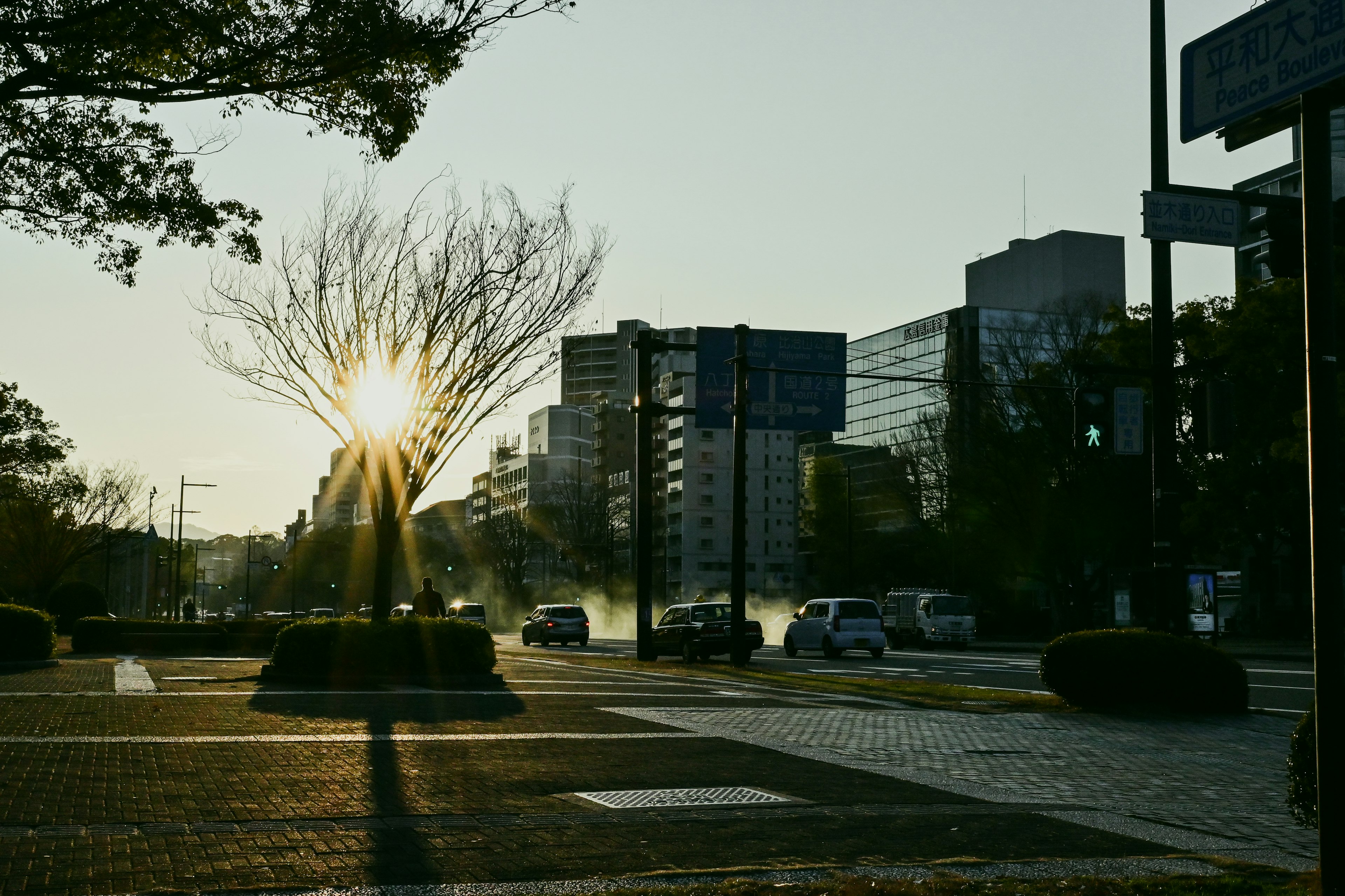 Cityscape at dusk with a silhouette of a tree and sun rays