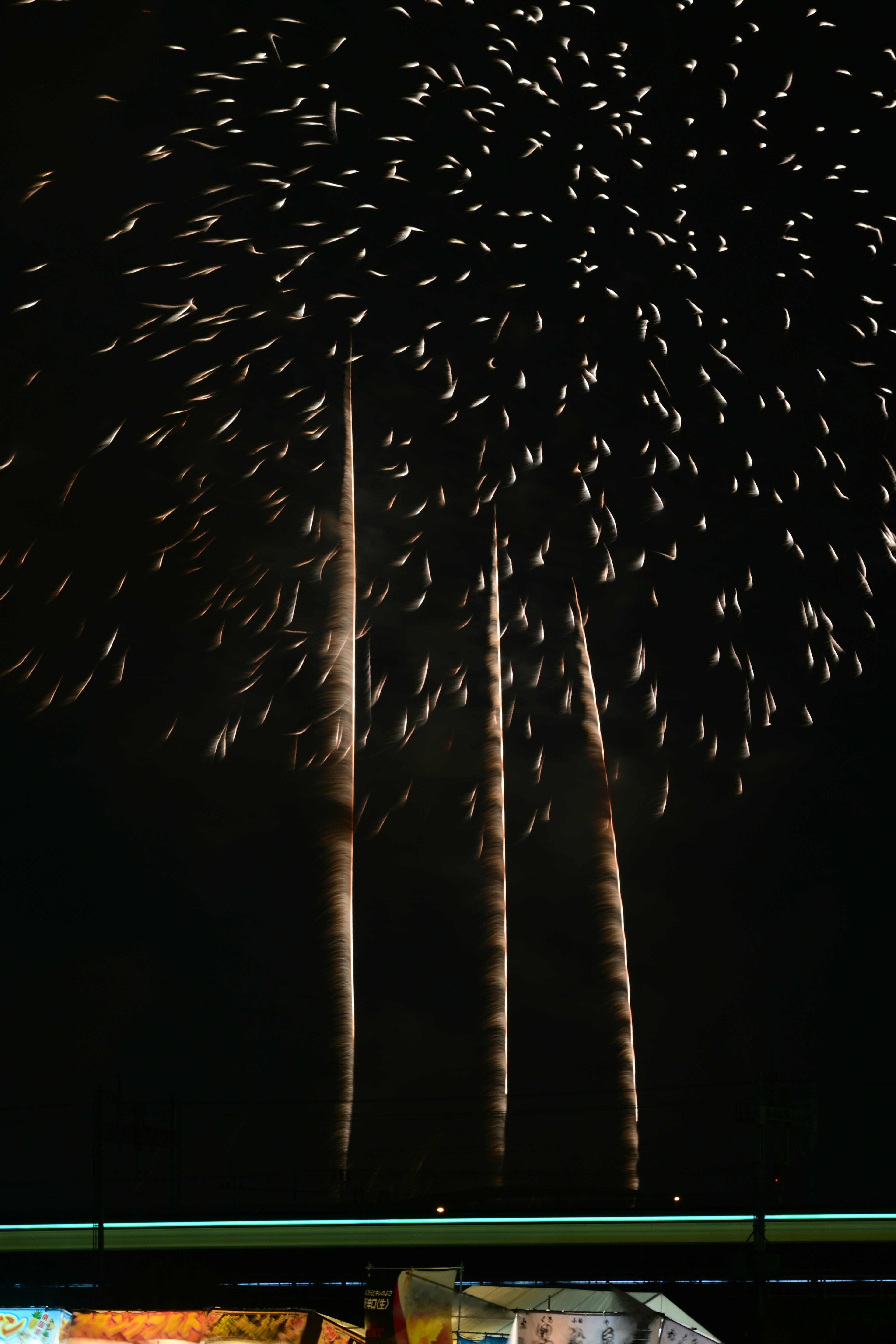 Bellissimo spettacolo di fuochi d'artificio che illumina il cielo notturno