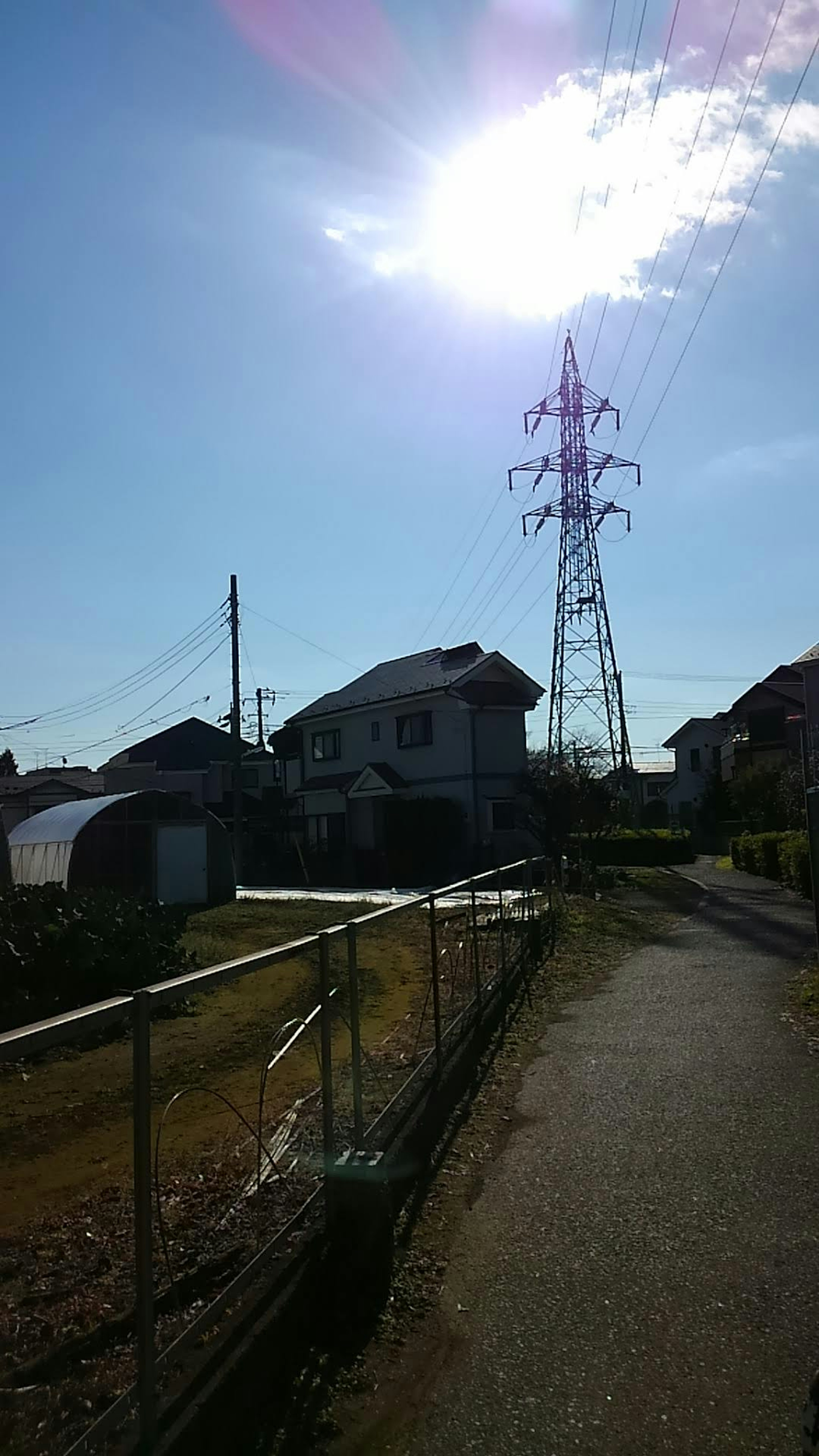 青空の下に立つ電柱と住宅の風景