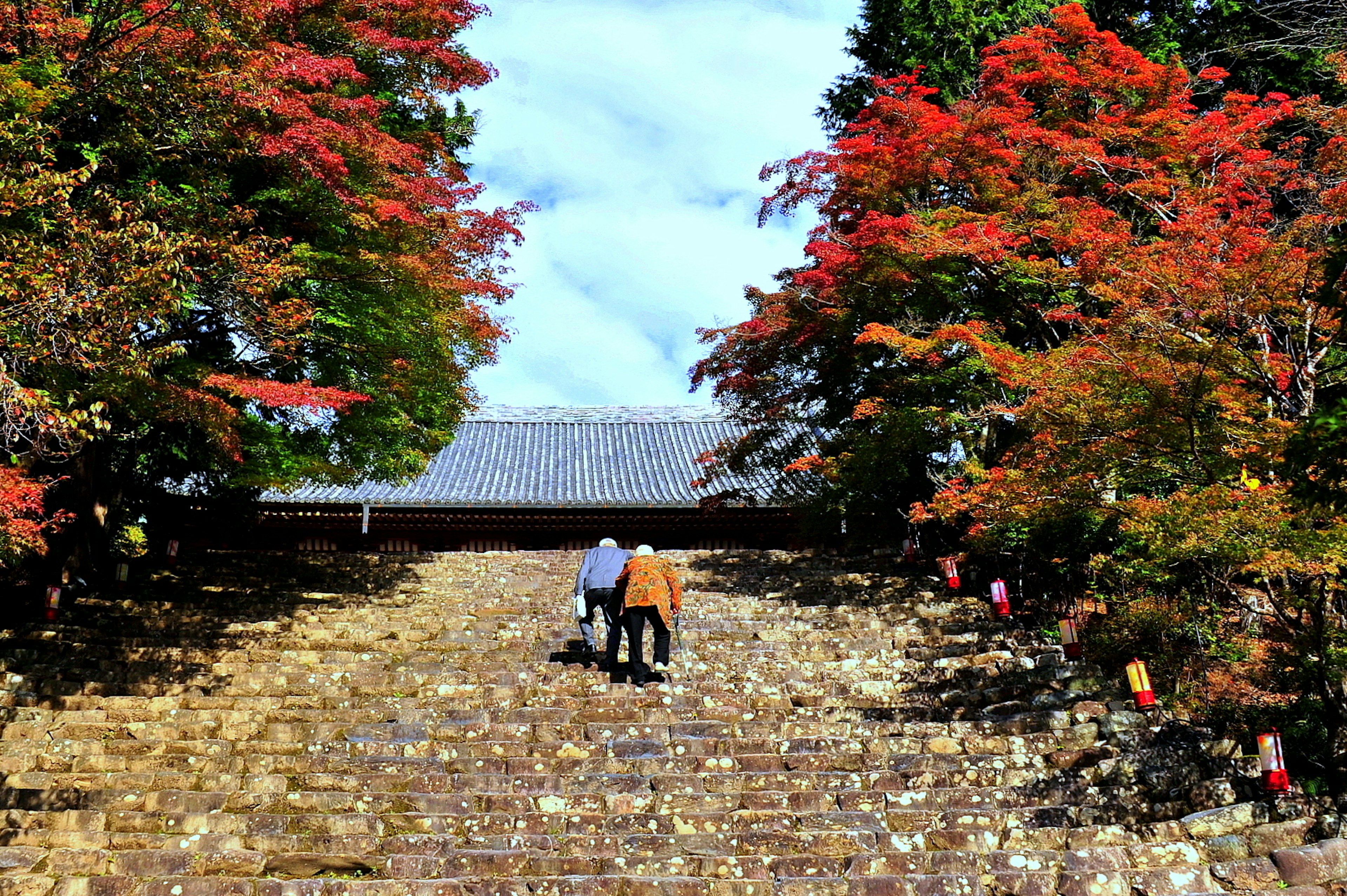 Two people walking up stone steps surrounded by red-leaved trees