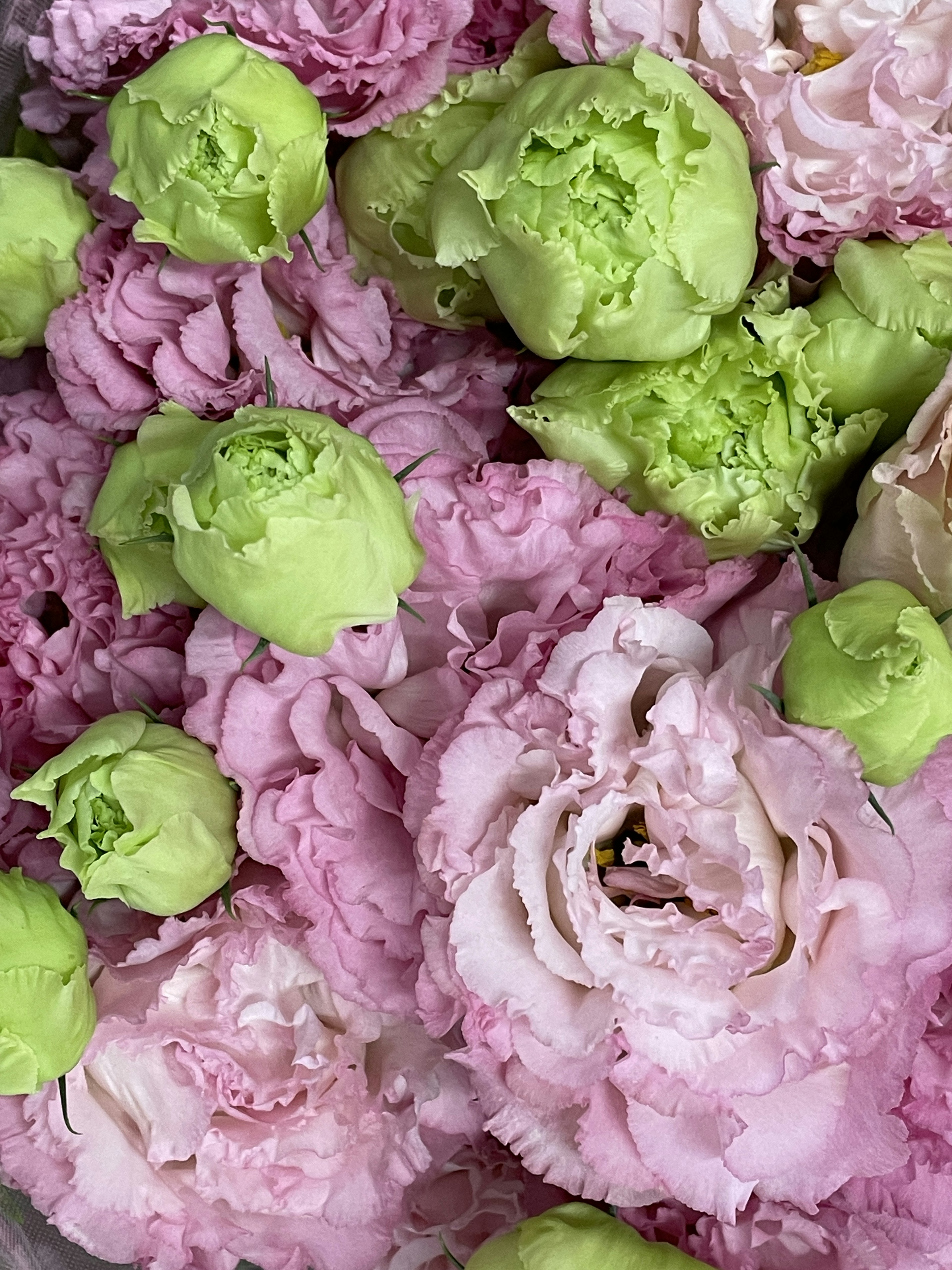 A floral arrangement featuring pink and green flowers