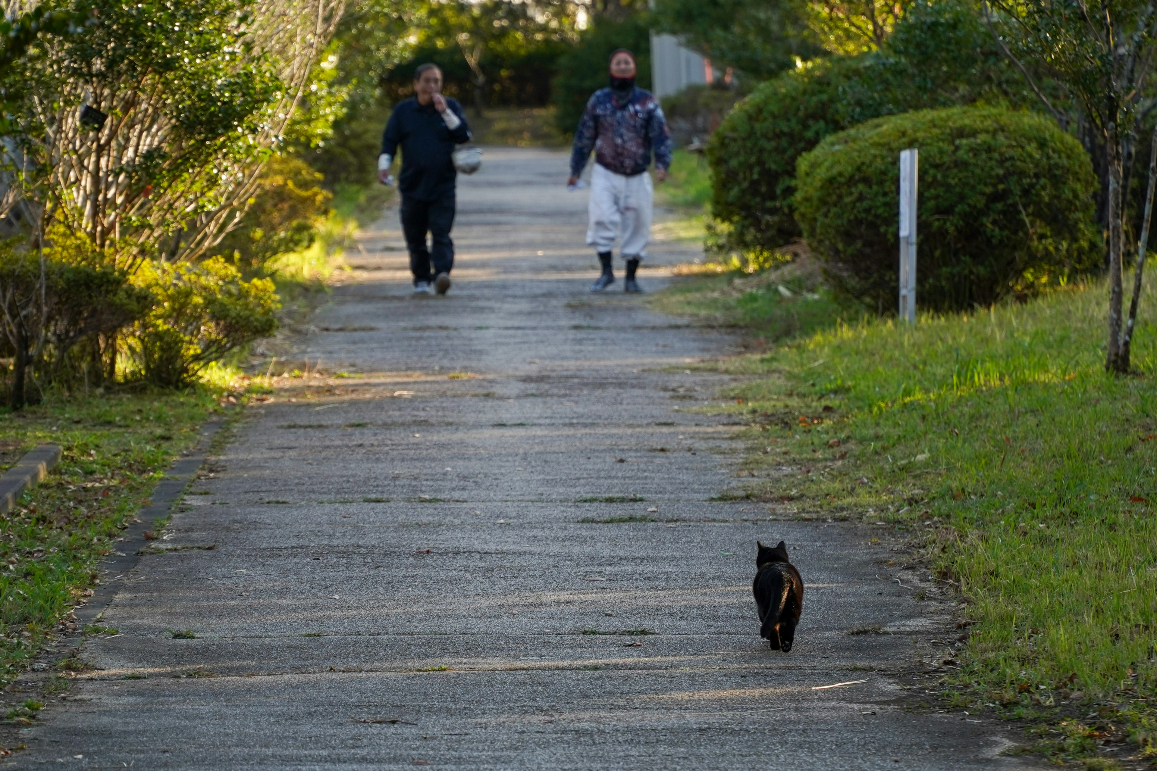 Dos personas caminando por un camino pavimentado con un gato negro en primer plano