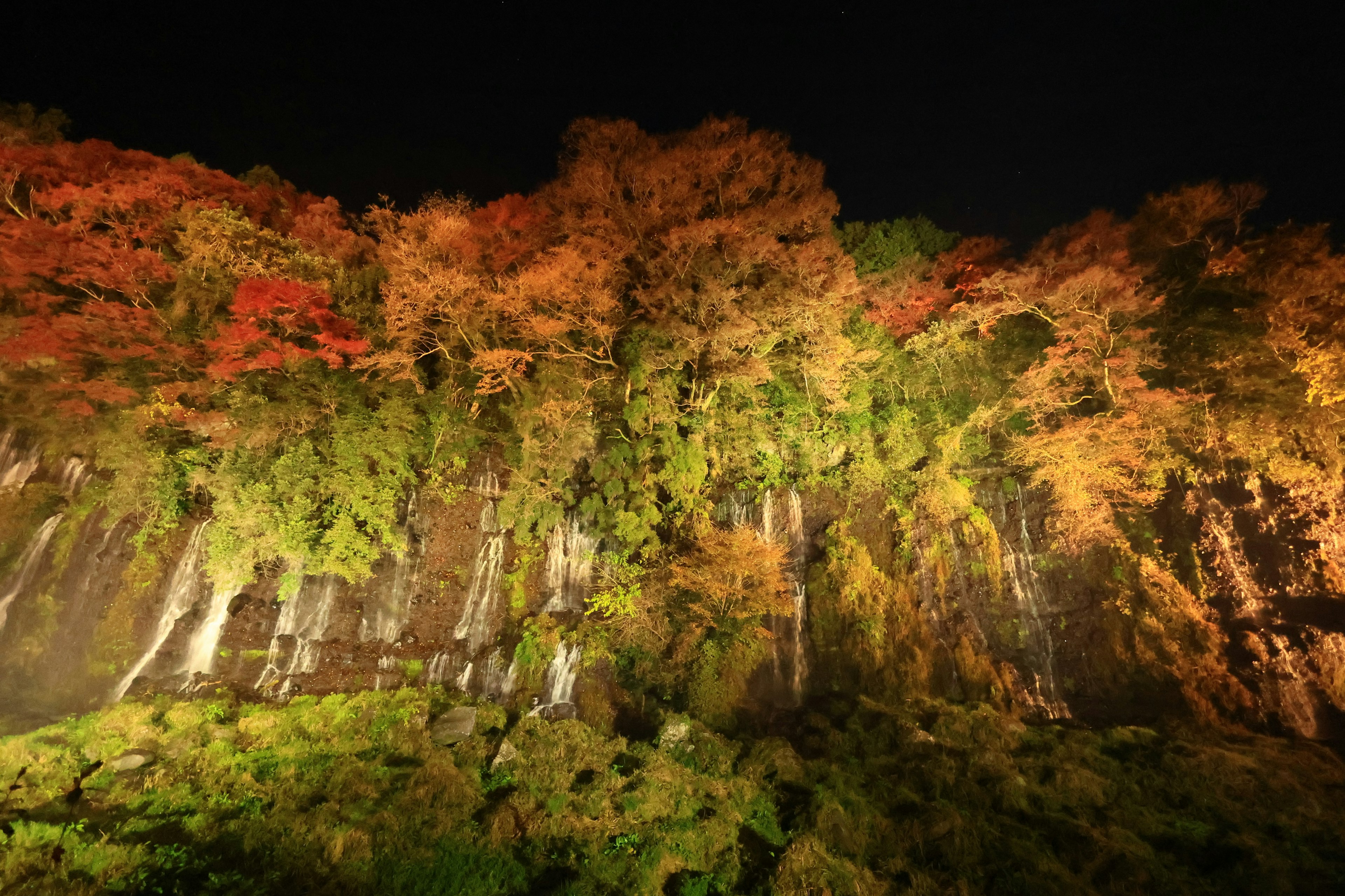 Vista panoramica di una cascata circondata da fogliame autunnale di notte