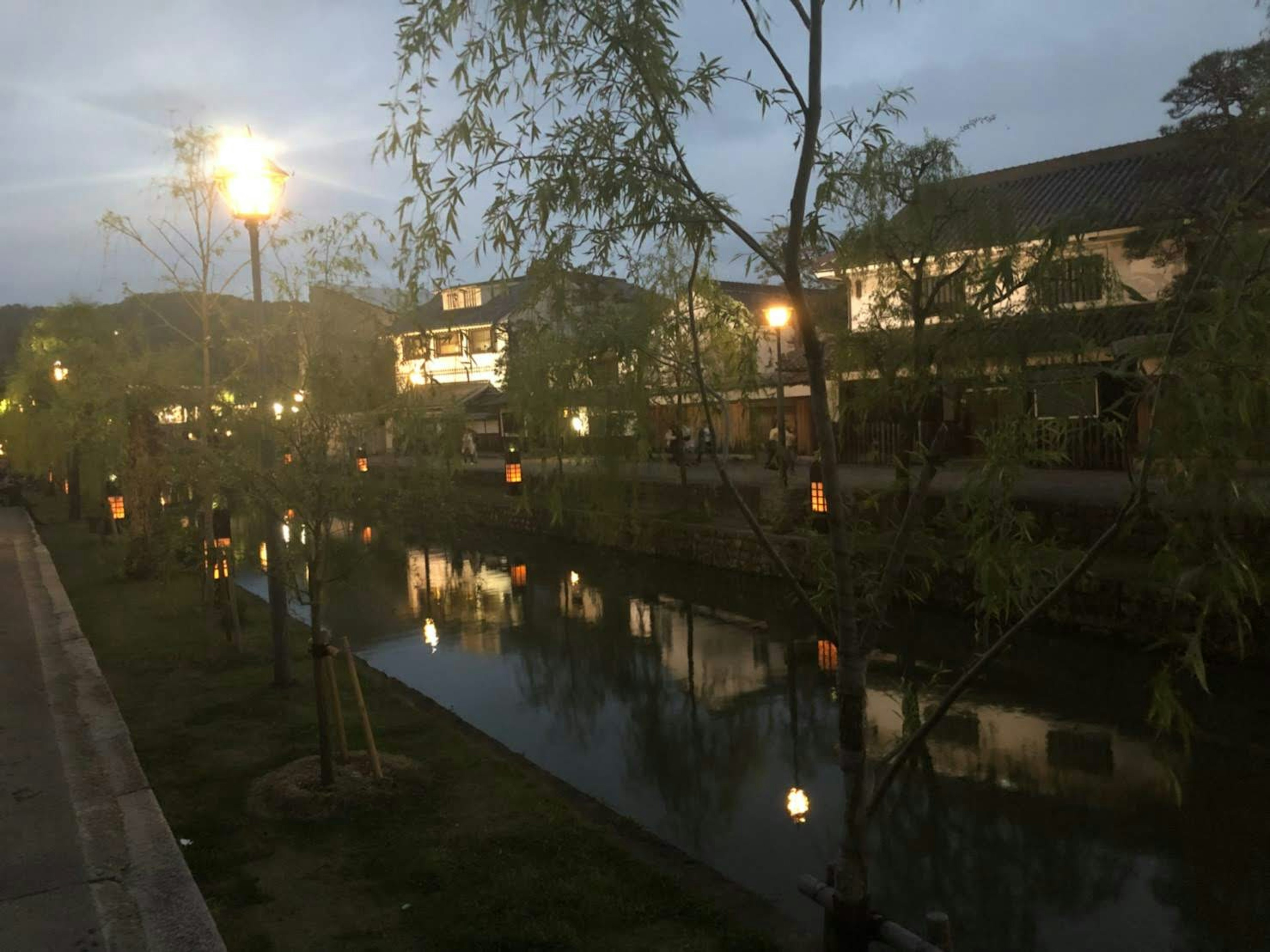 Evening scene along a river with trees and glowing lights