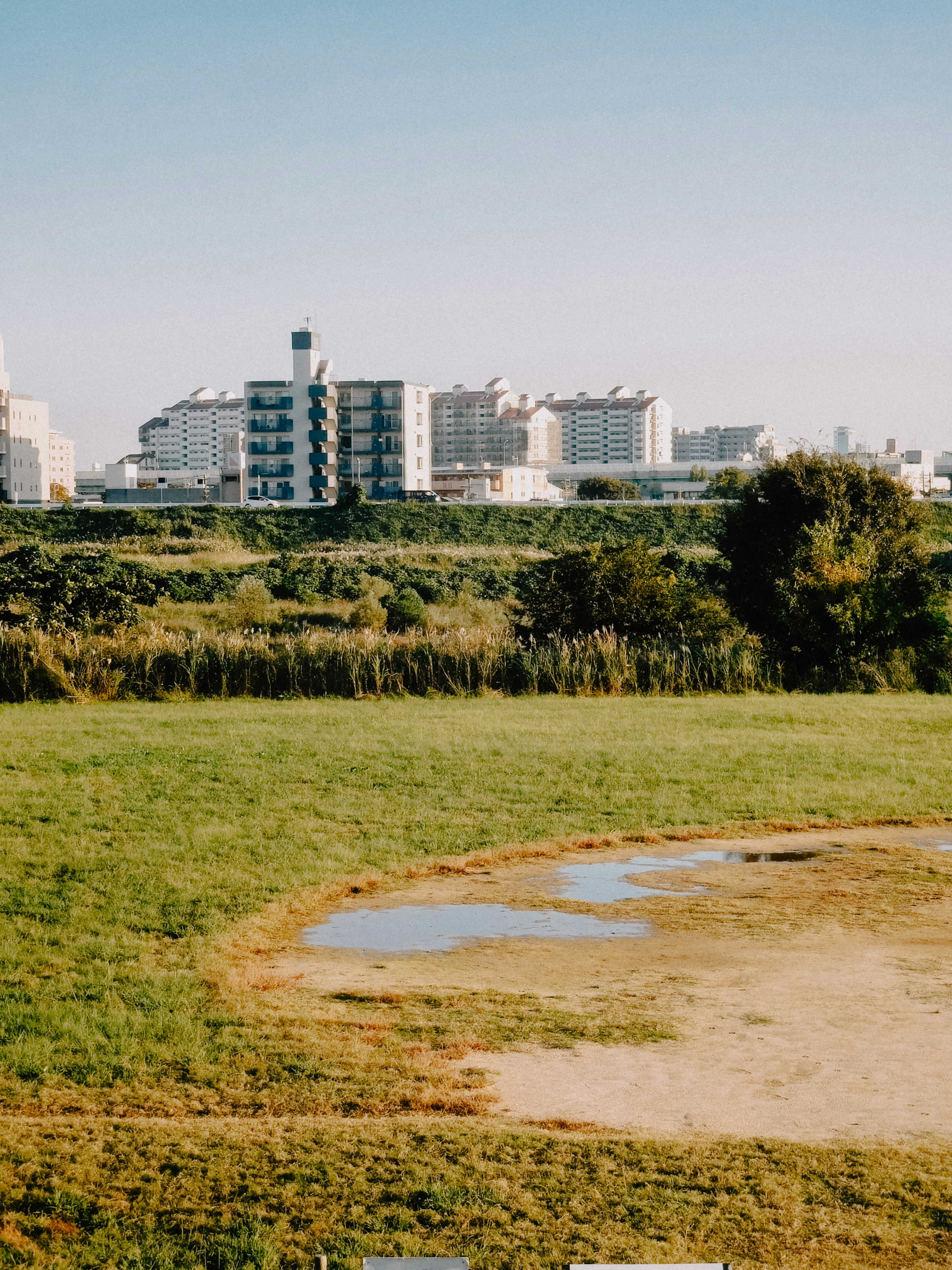 A landscape featuring a wide green field with a puddle in the foreground and modern buildings in the background