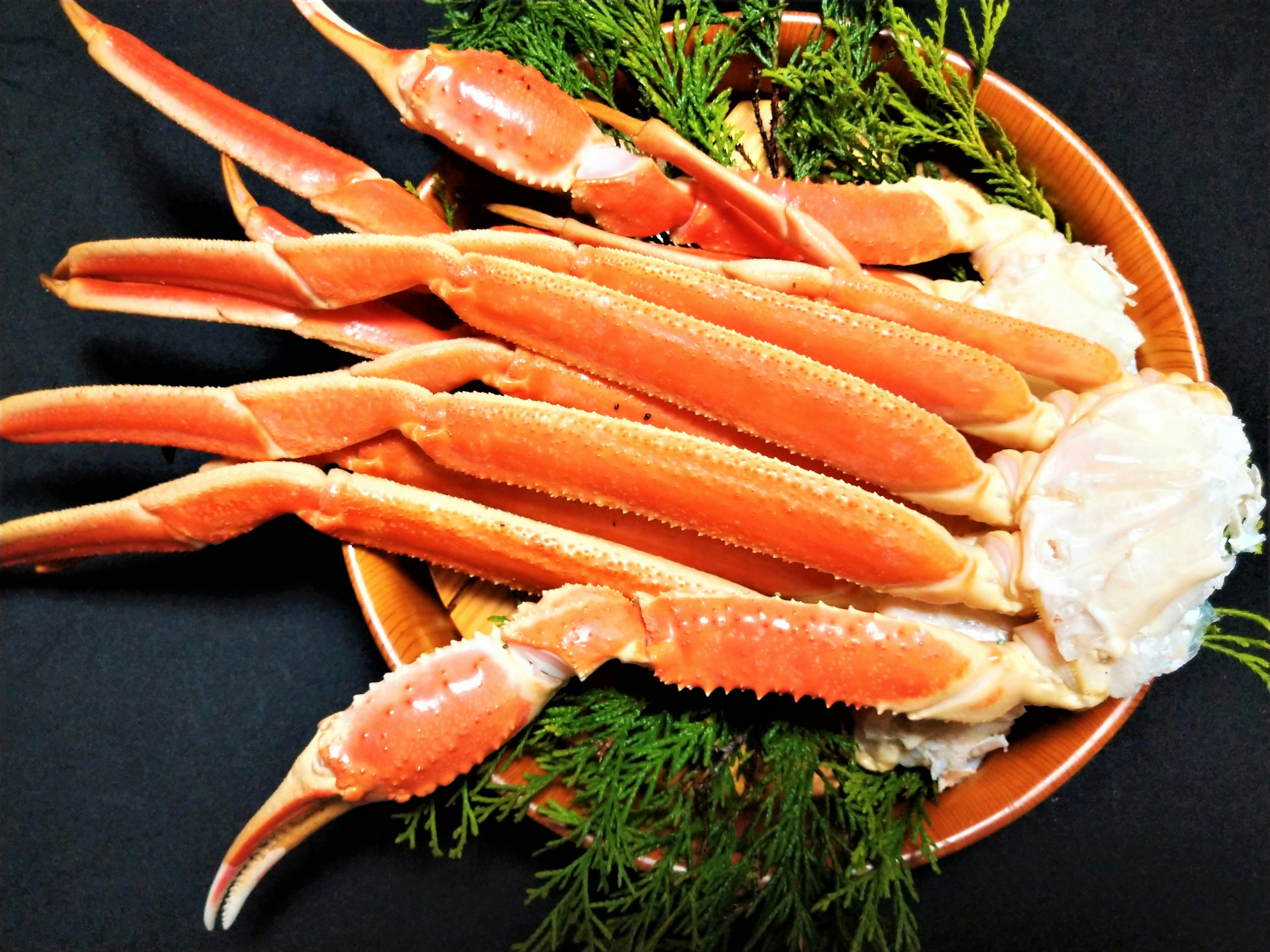 Pattes de crabe frais disposées sur une assiette