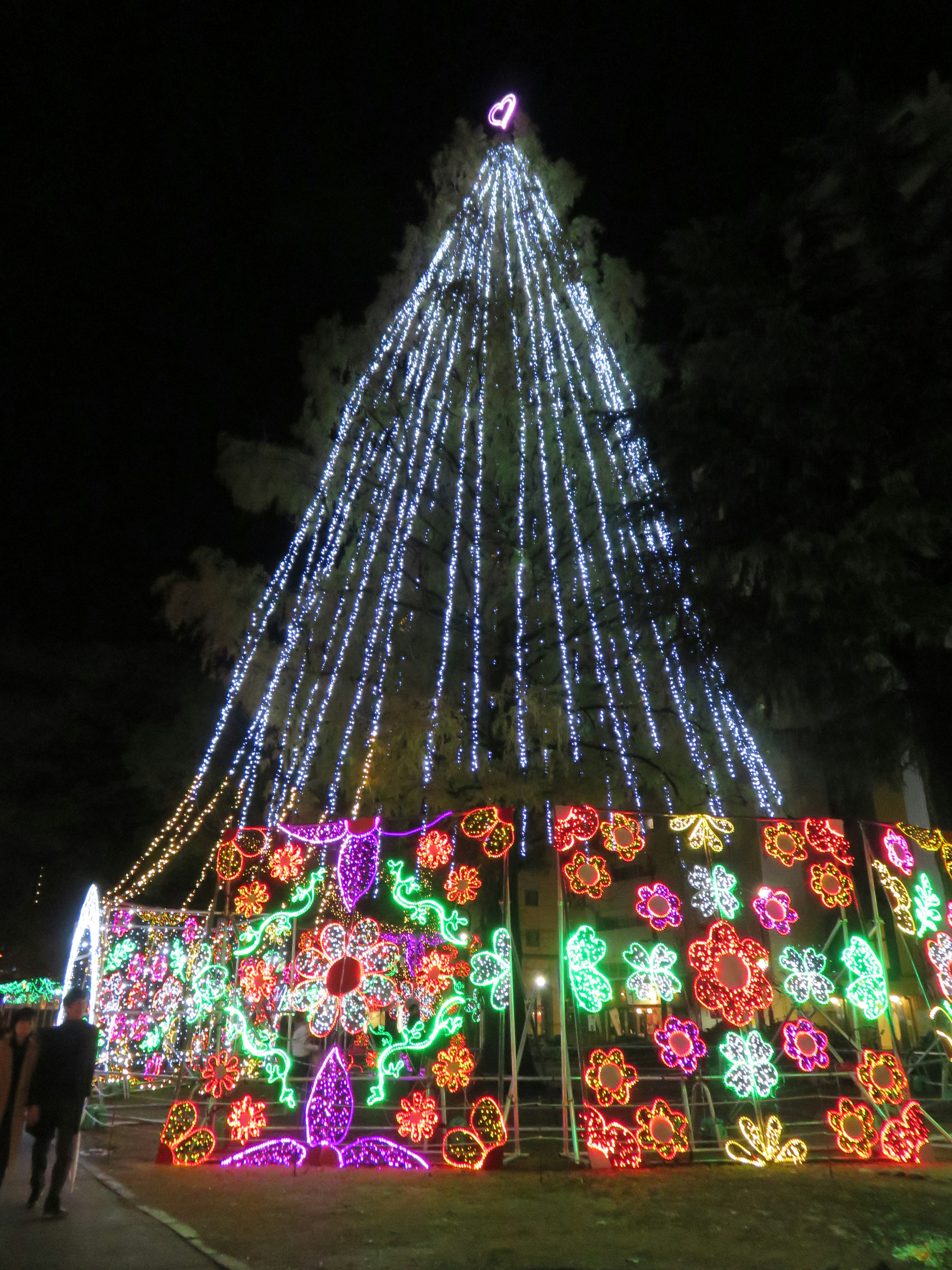 Christmas tree decorated with lights and floral displays at night