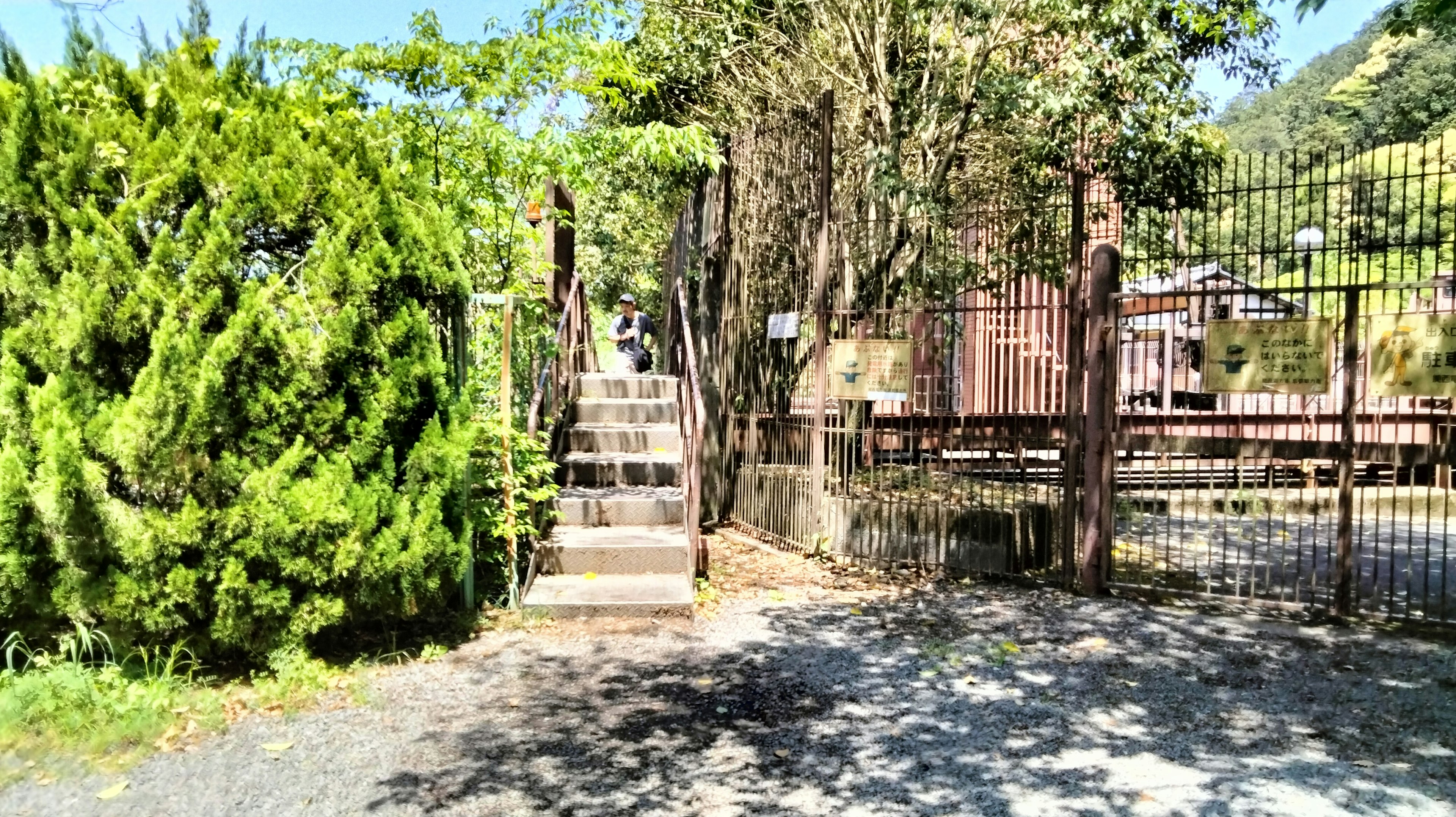 Entrada a un jardín con árboles verdes y escaleras