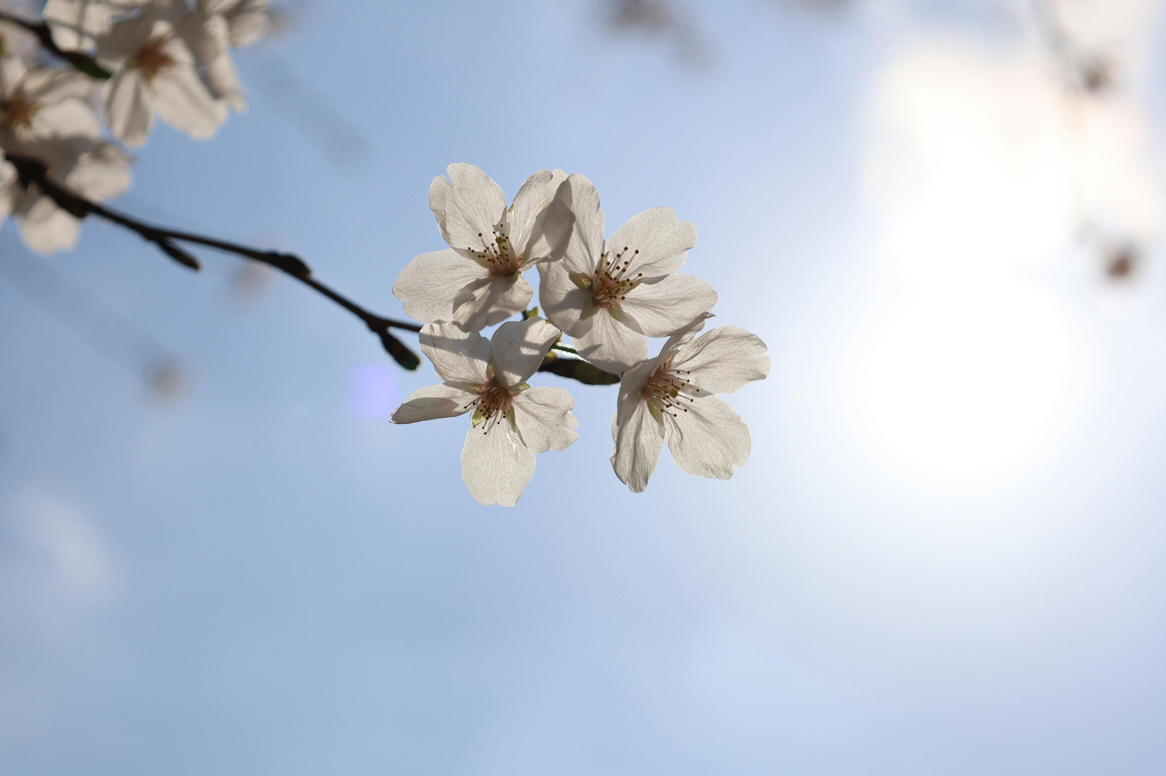 photo-7mbOfU9T3MUP7pghRfg1-image