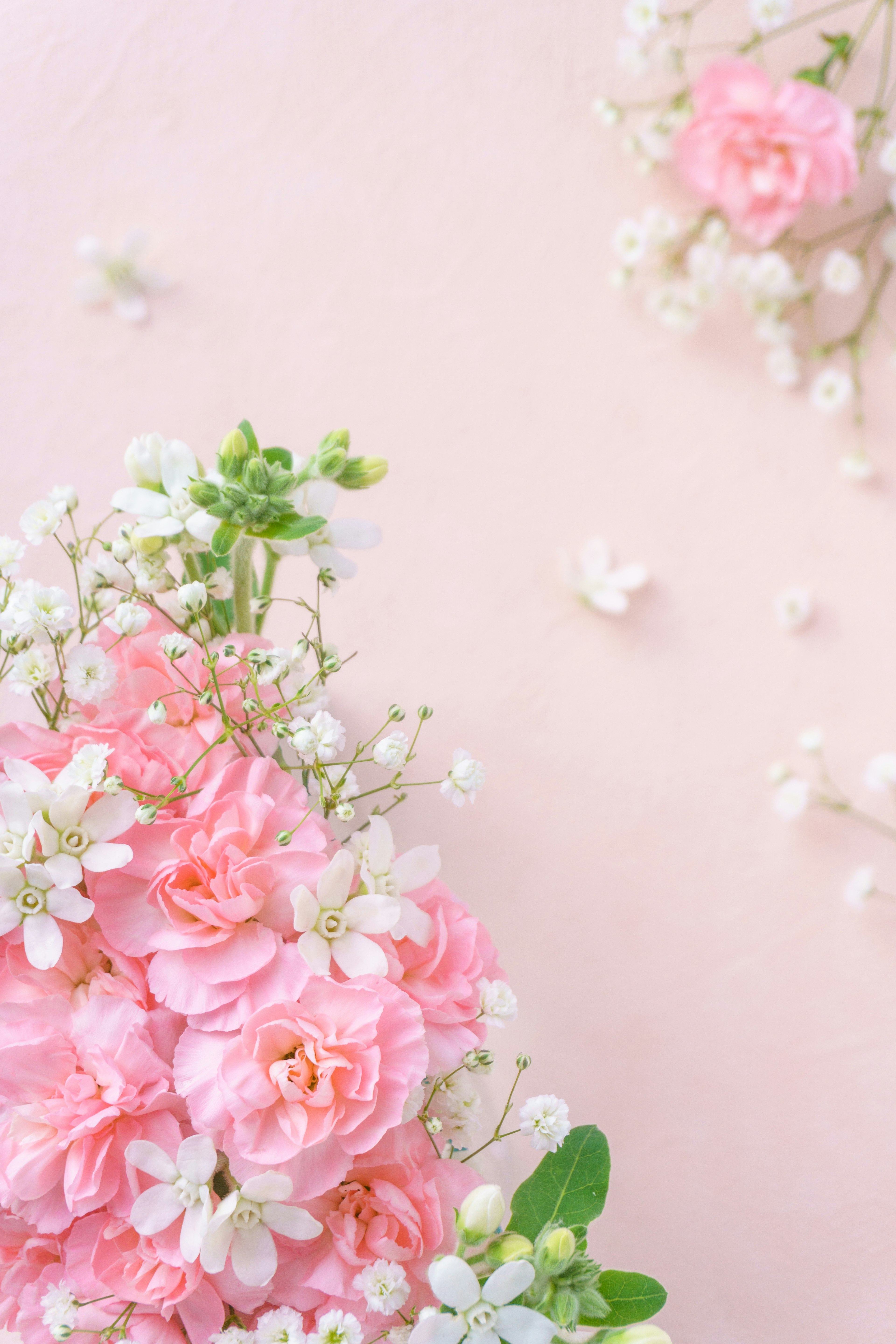 A cluster of pink flowers and delicate white blooms arranged on a soft background