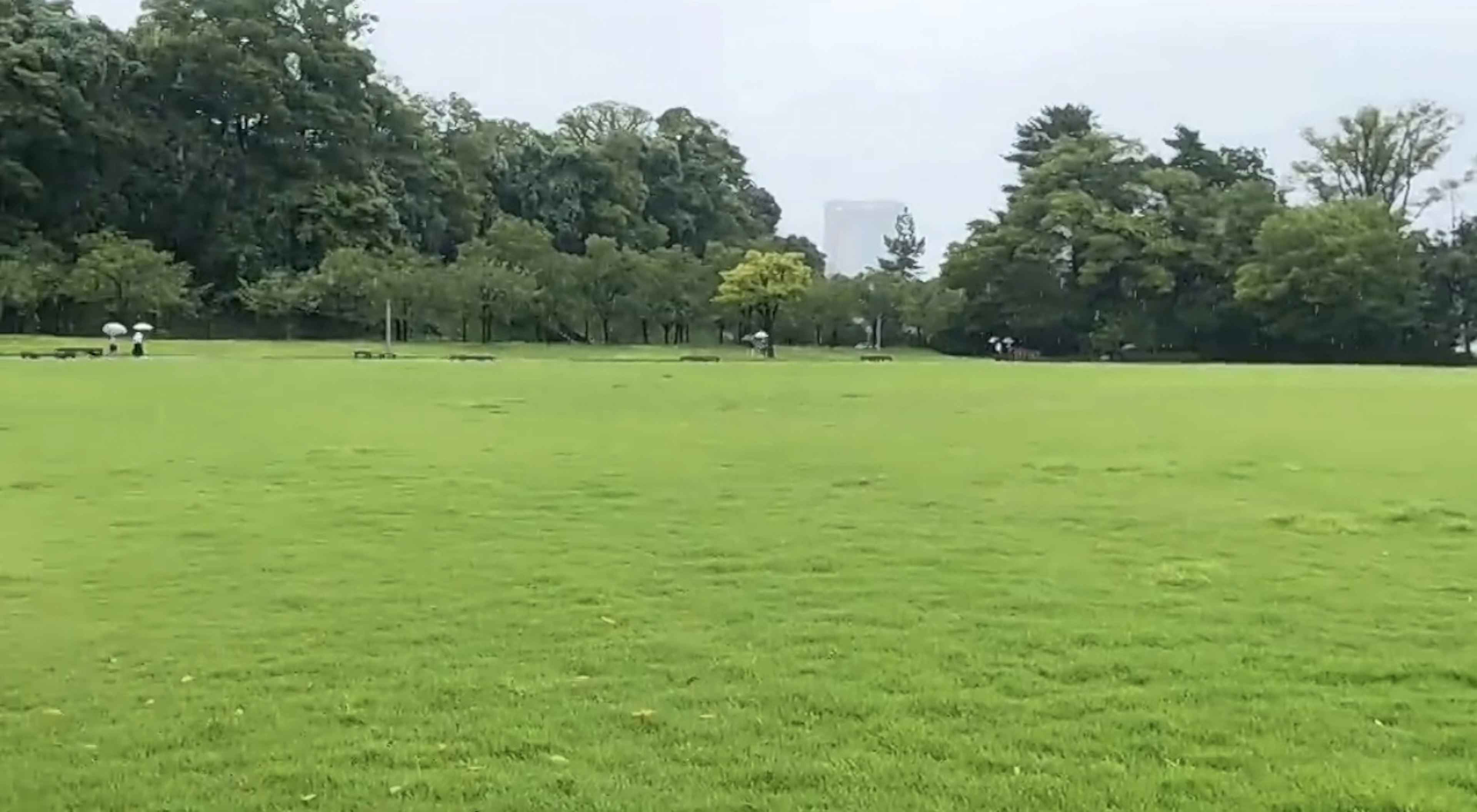 Szenen eines grünen Parks mit Menschen in der Ferne