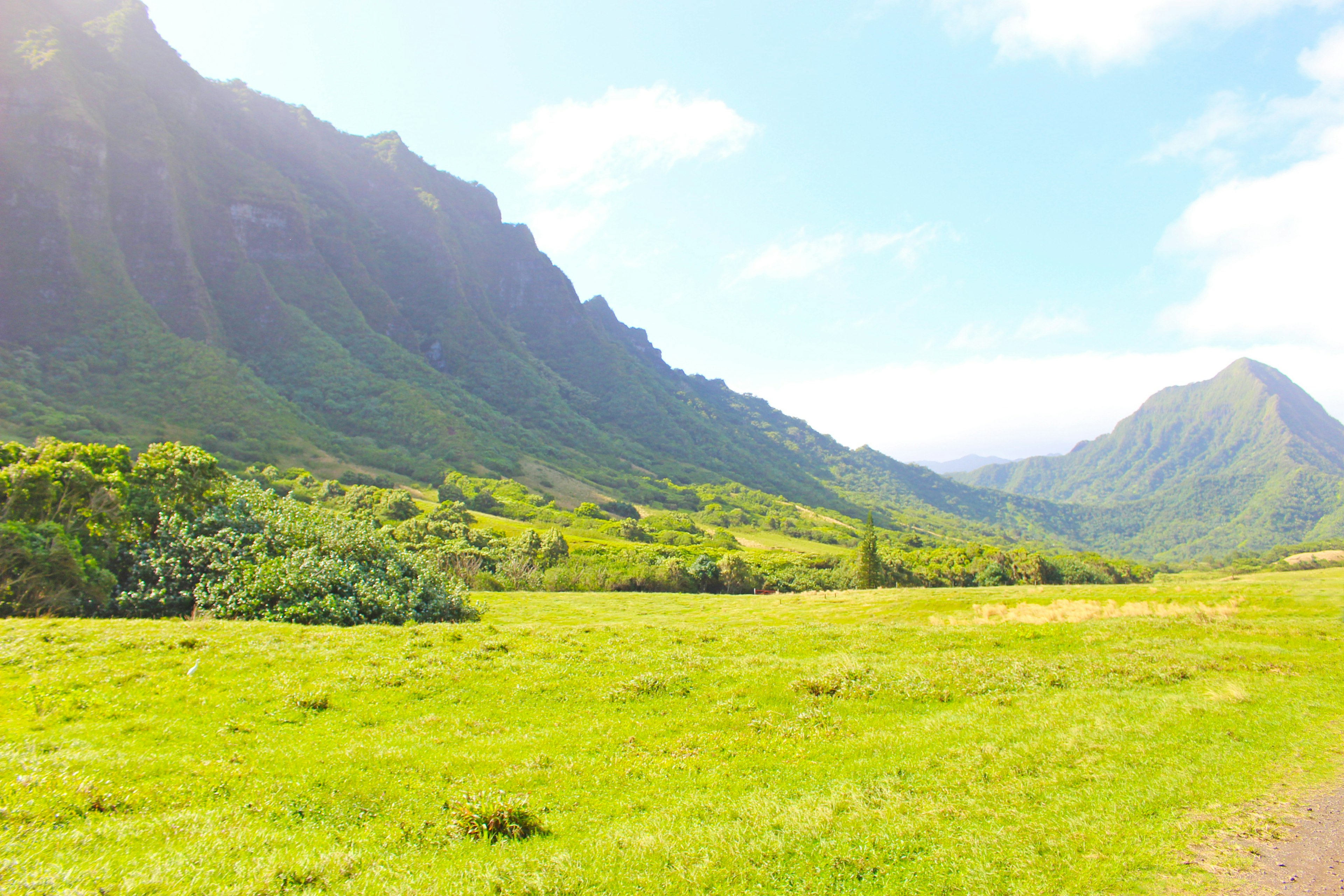 Pradera verde exuberante con montañas al fondo bajo un cielo azul brillante